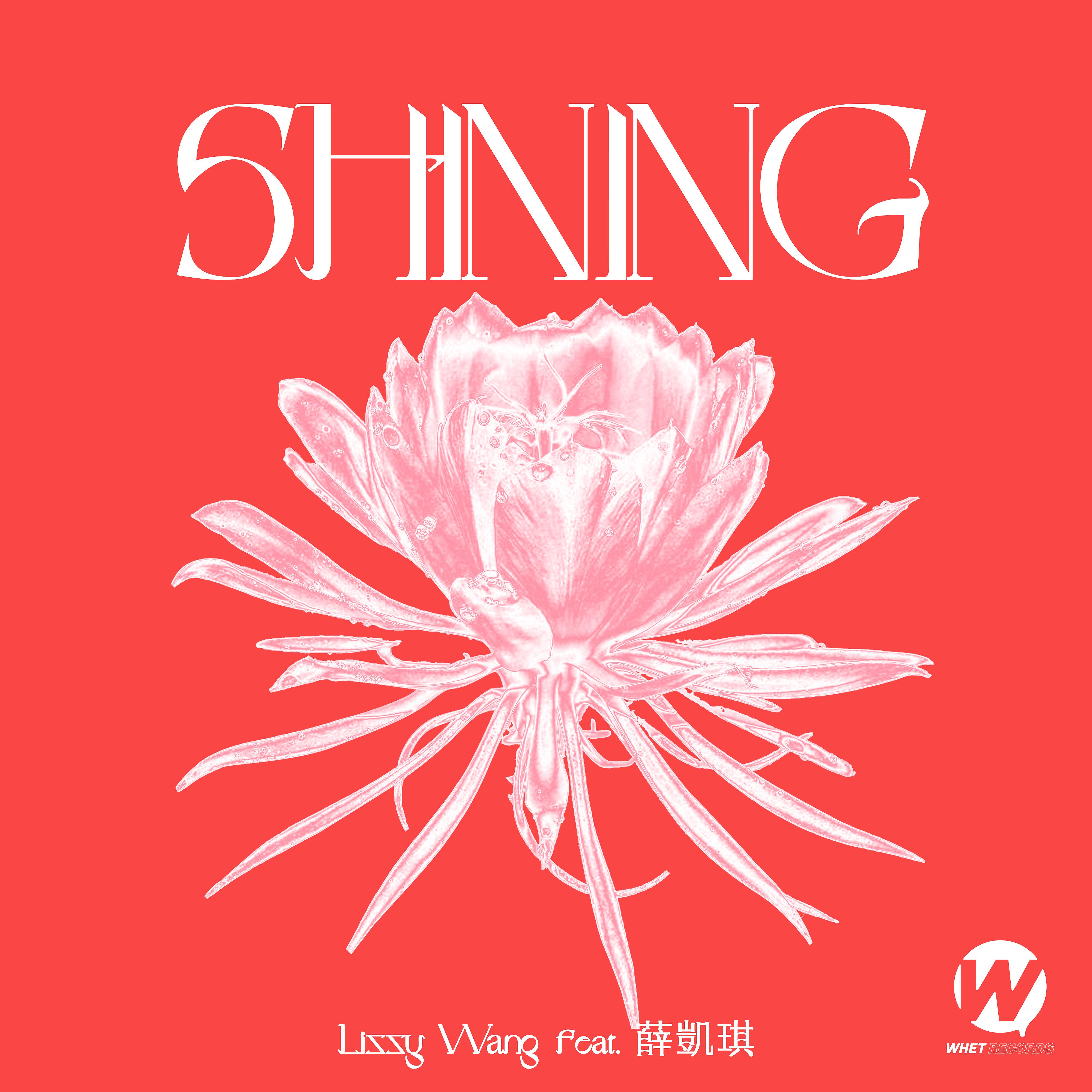 Постер альбома Shining (feat. Fiona Sit)