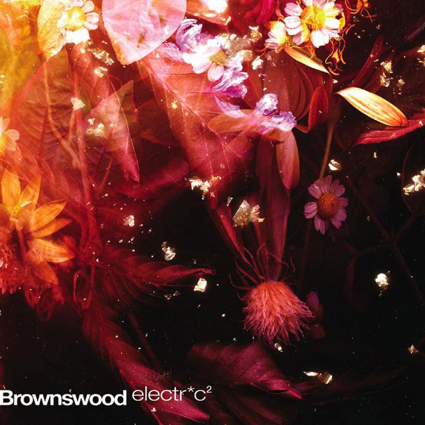 Постер альбома Brownswood Electric 2