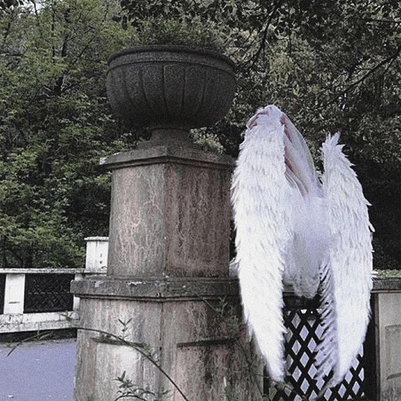 МОКЕРИ все песни в mp3