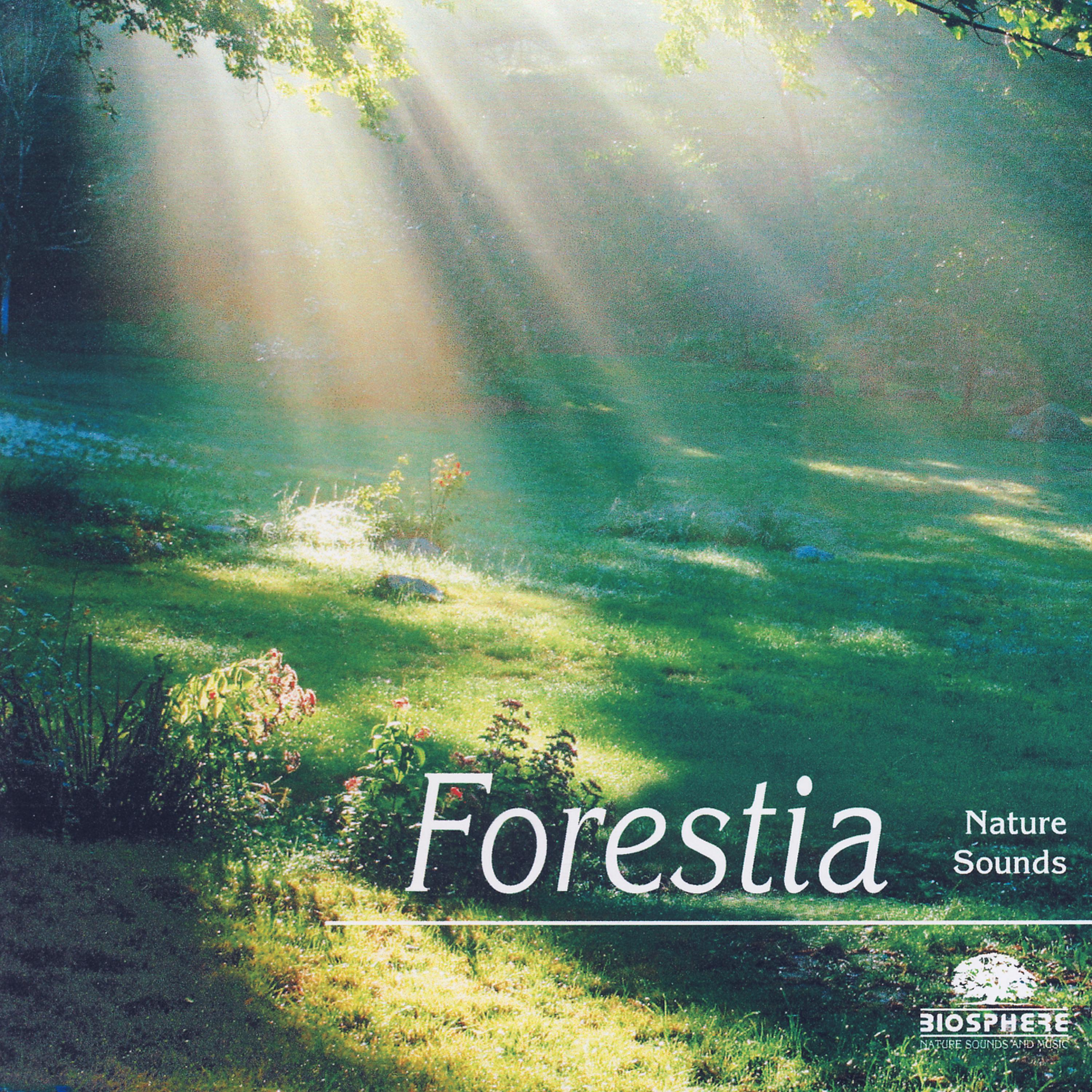 Постер альбома Forestia