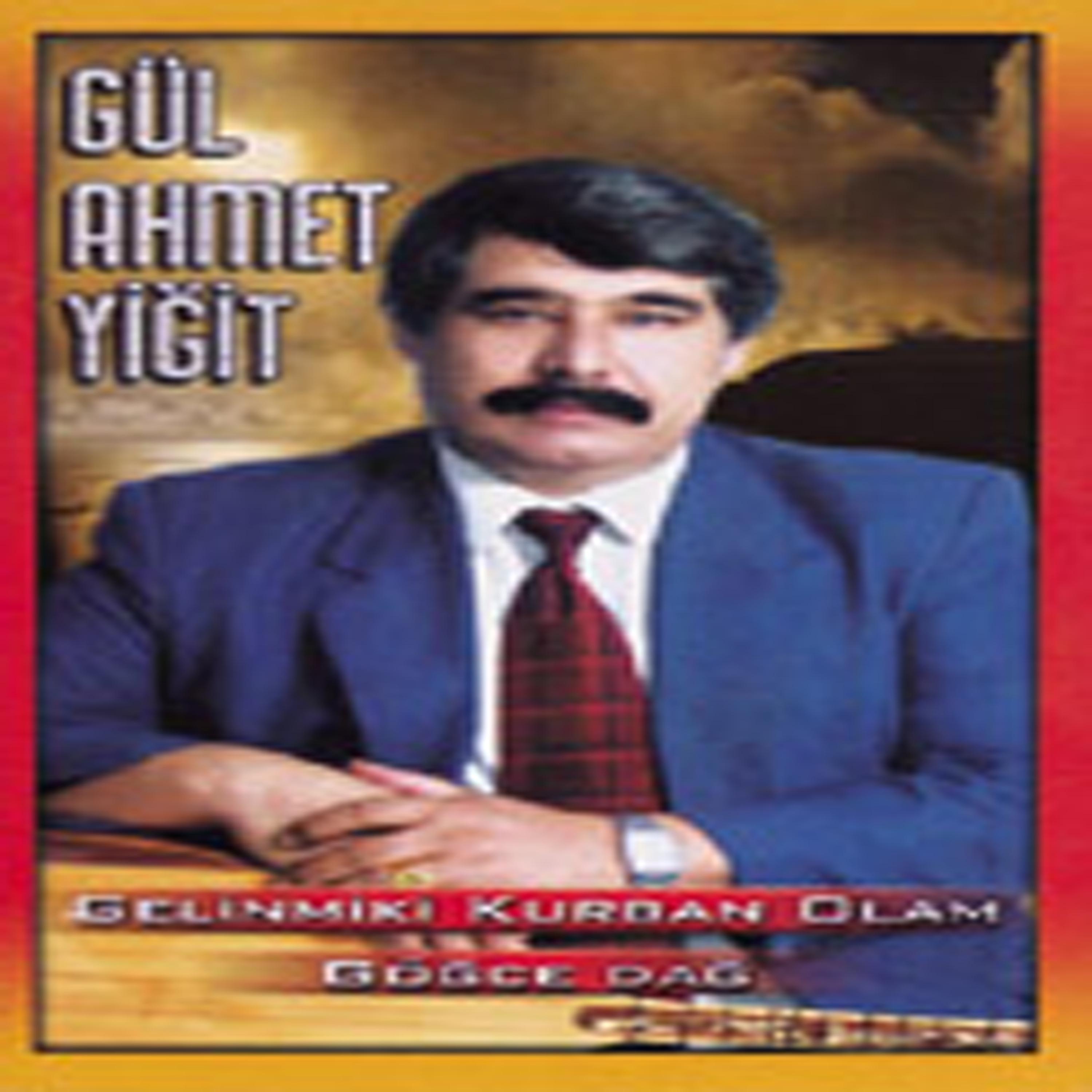 Постер альбома Gelinmiki Kurban Olam
