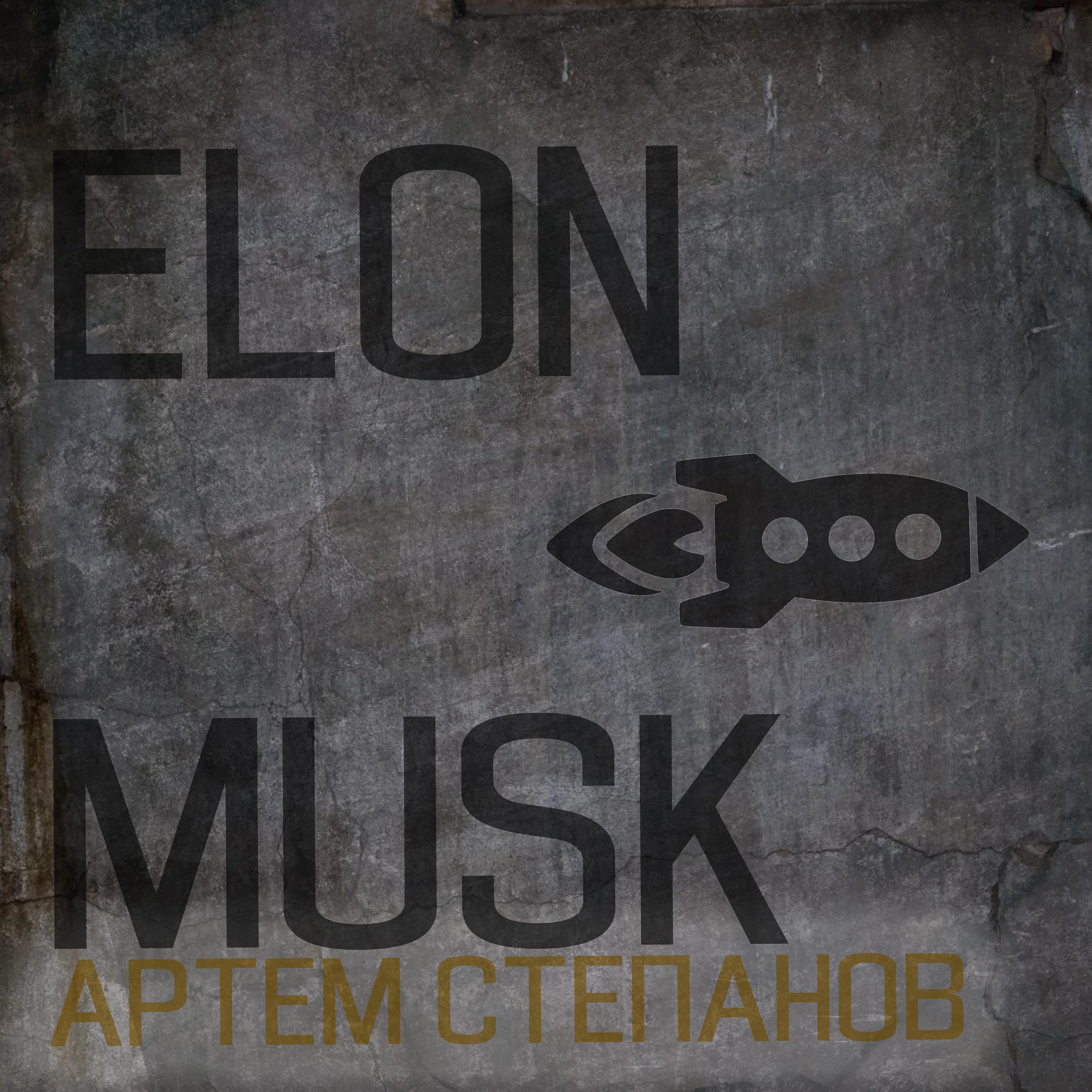 Постер альбома Elon Musk