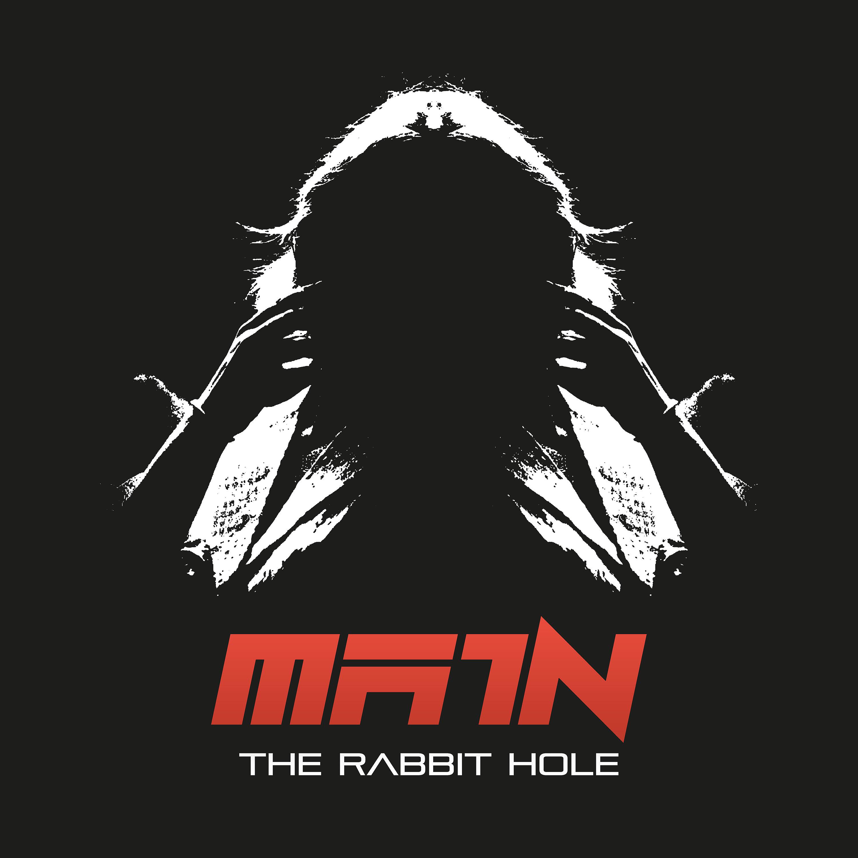 Постер альбома The Rabbit Hole