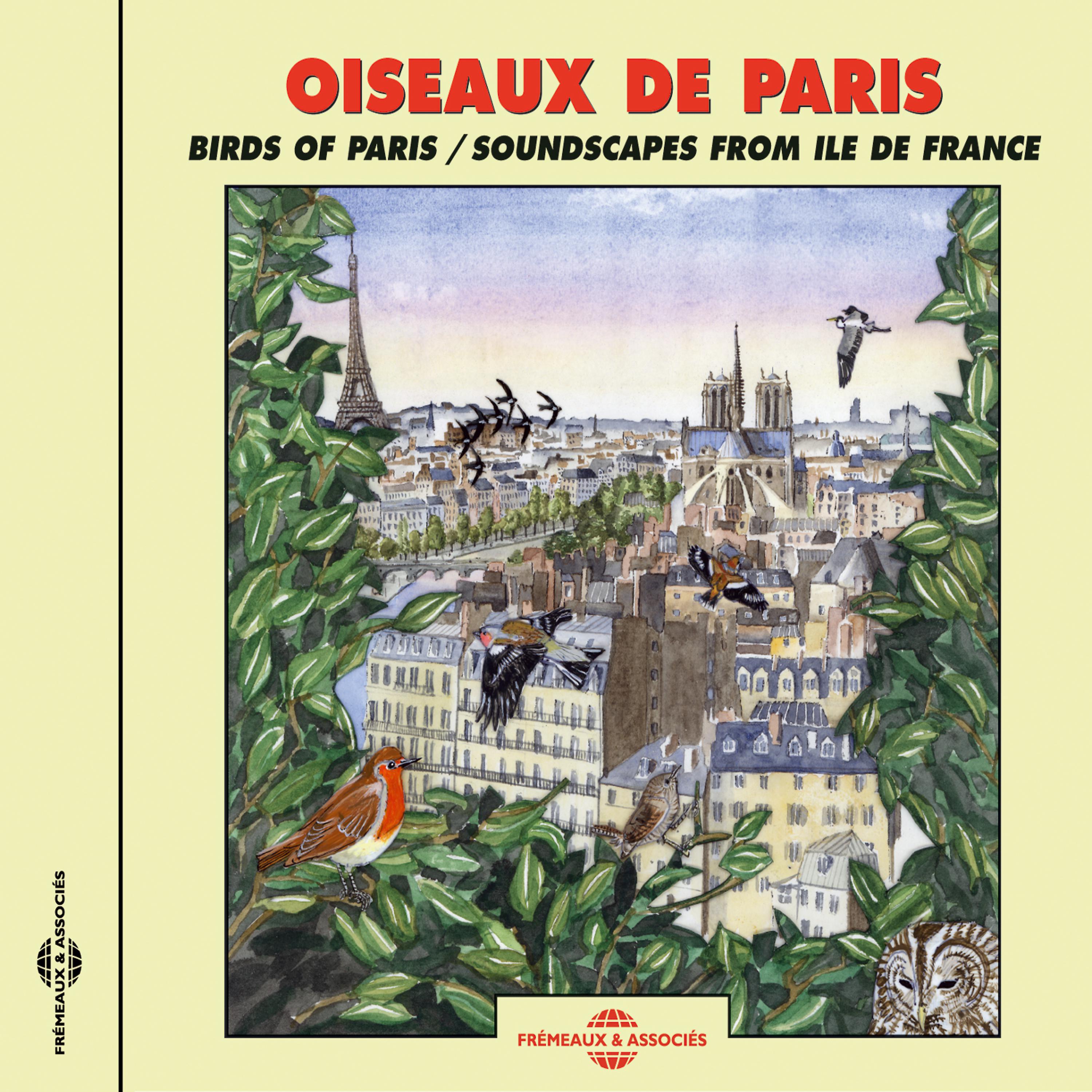 Постер альбома Birds Of Paris