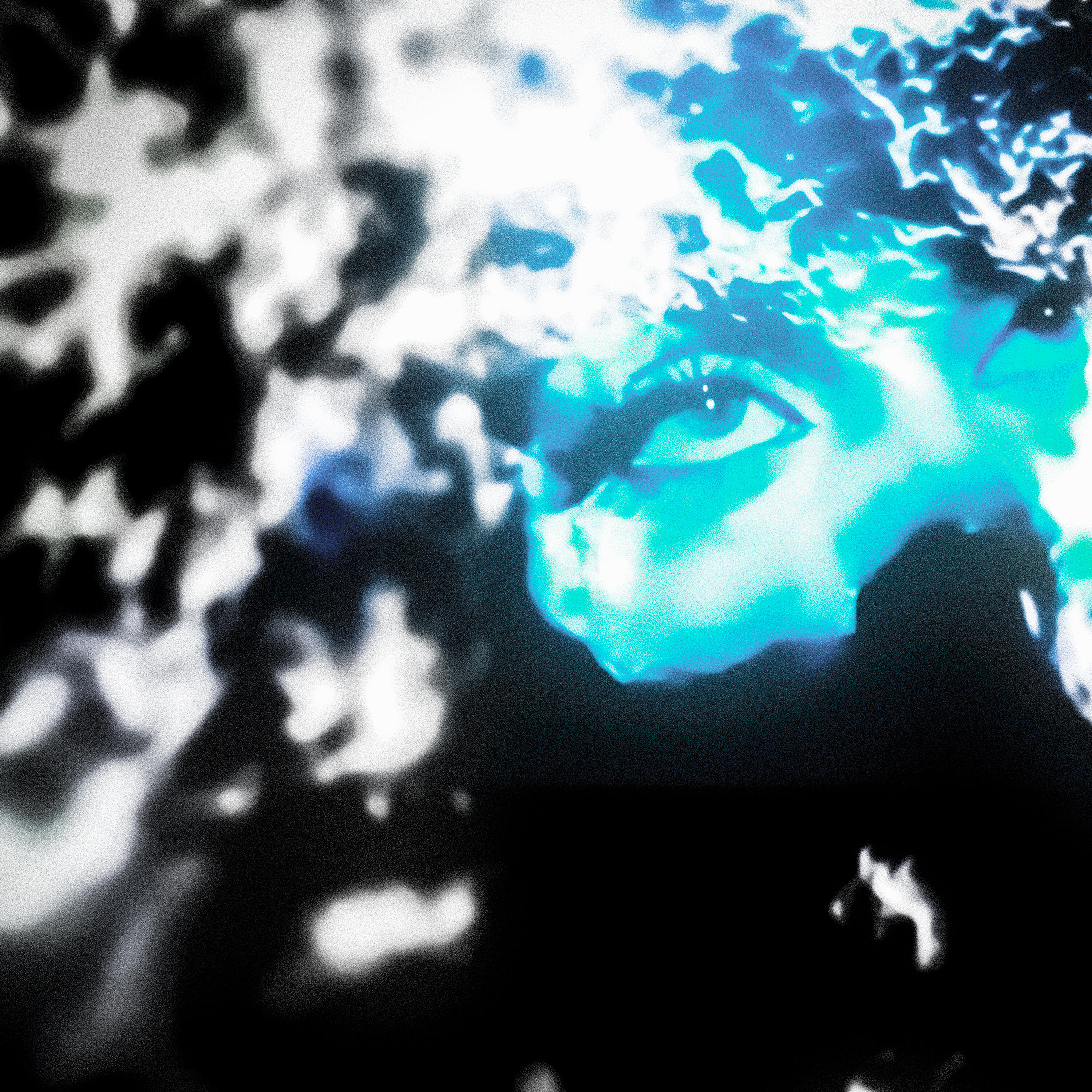 Плотный тон все песни в mp3