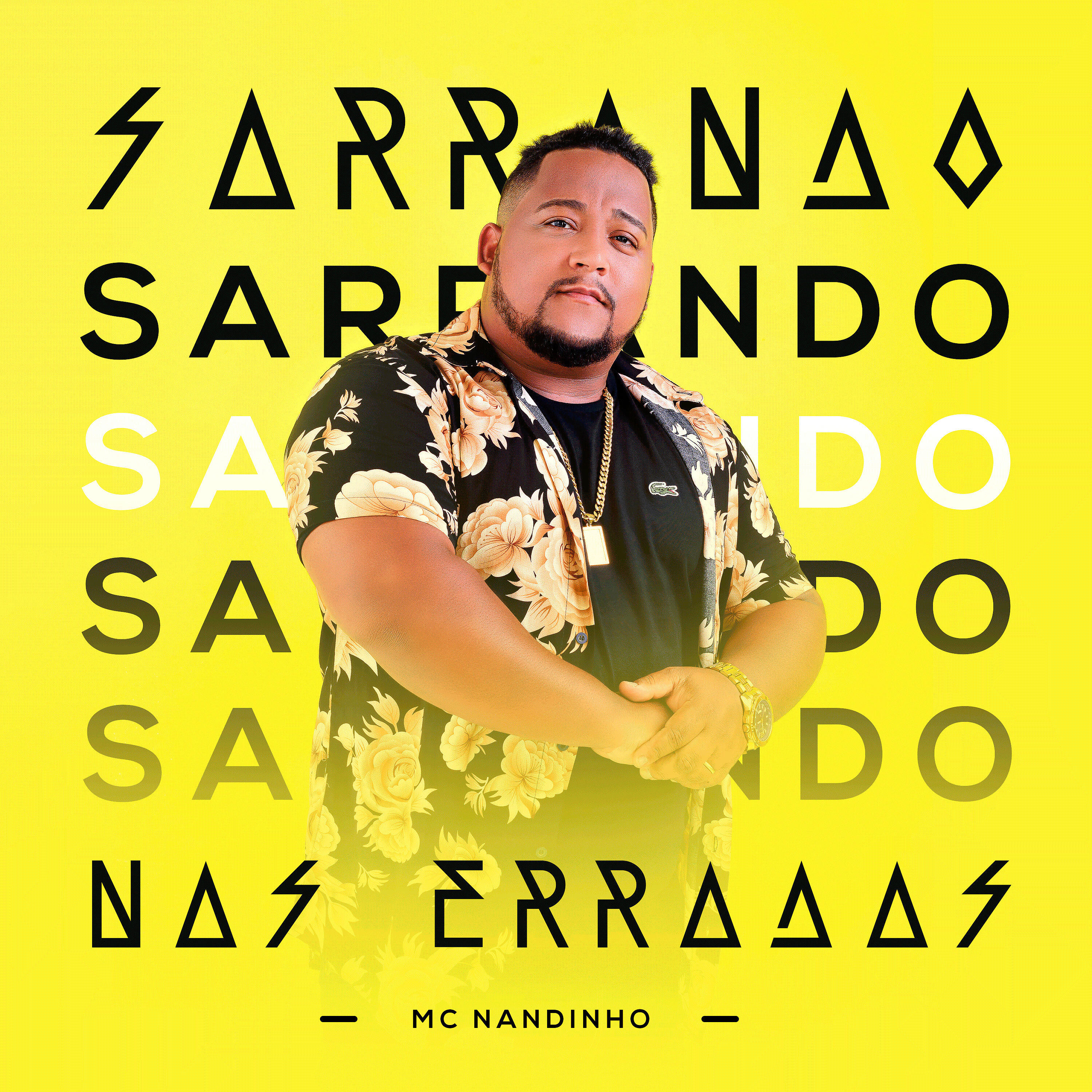 MC Nandinho - Sarrando nas Erradas