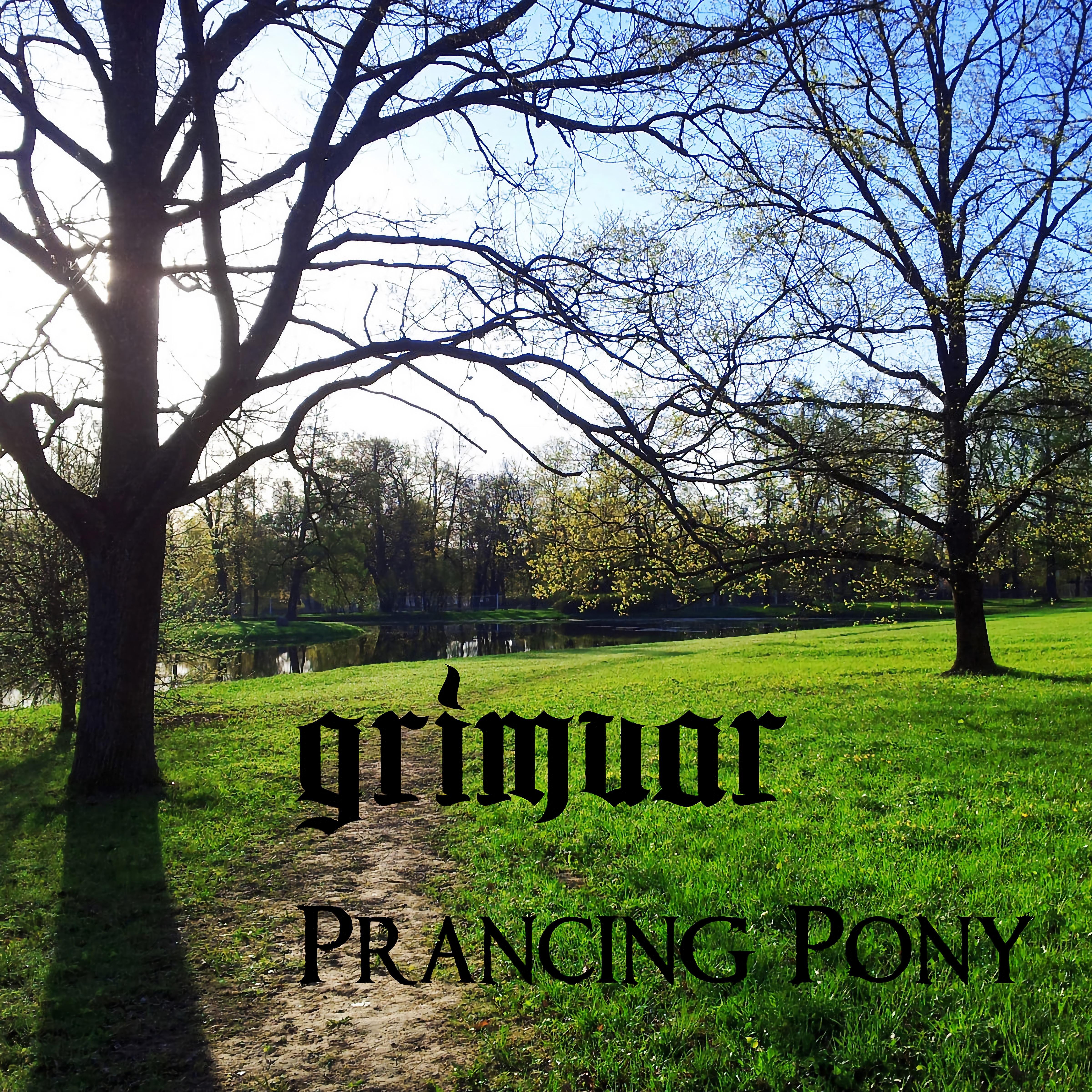 Постер альбома Prancing Pony