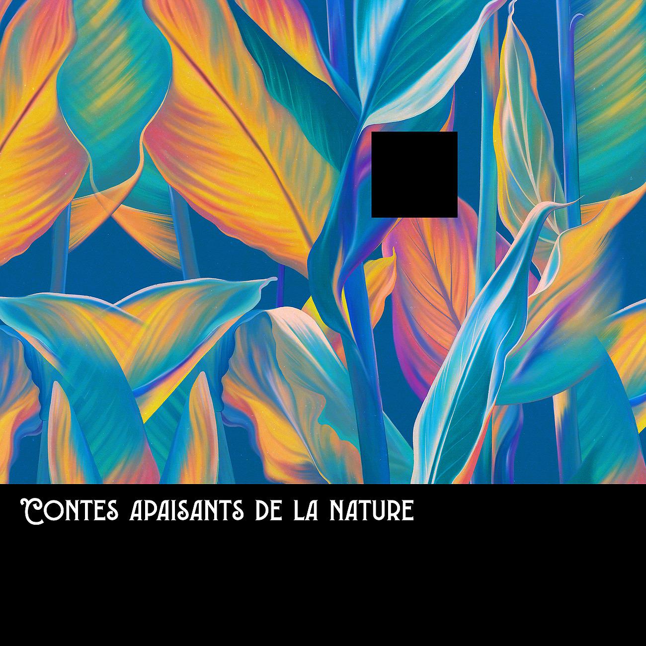 Постер альбома Contes apaisants de la nature