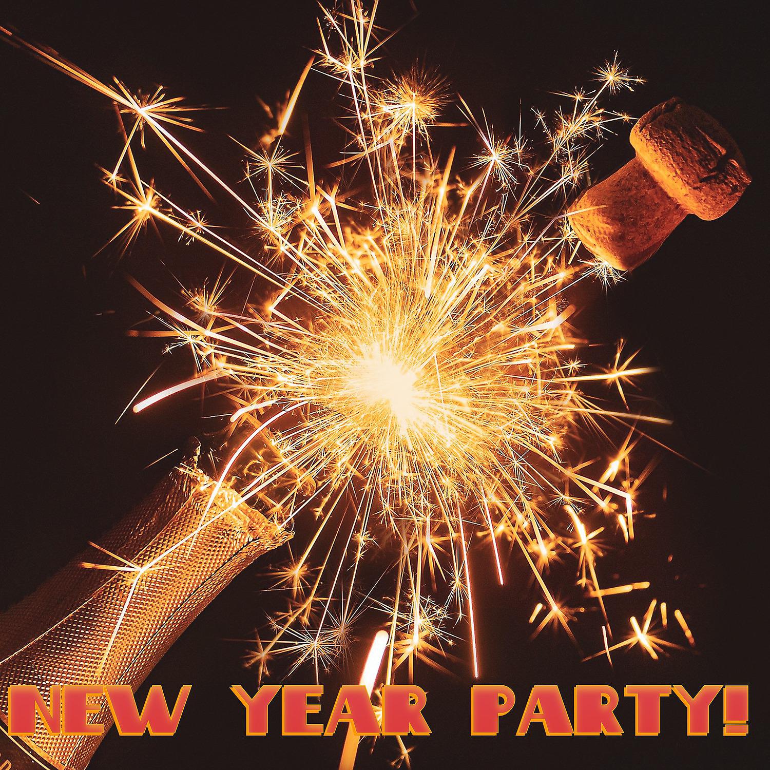 Постер альбома New Year Party!