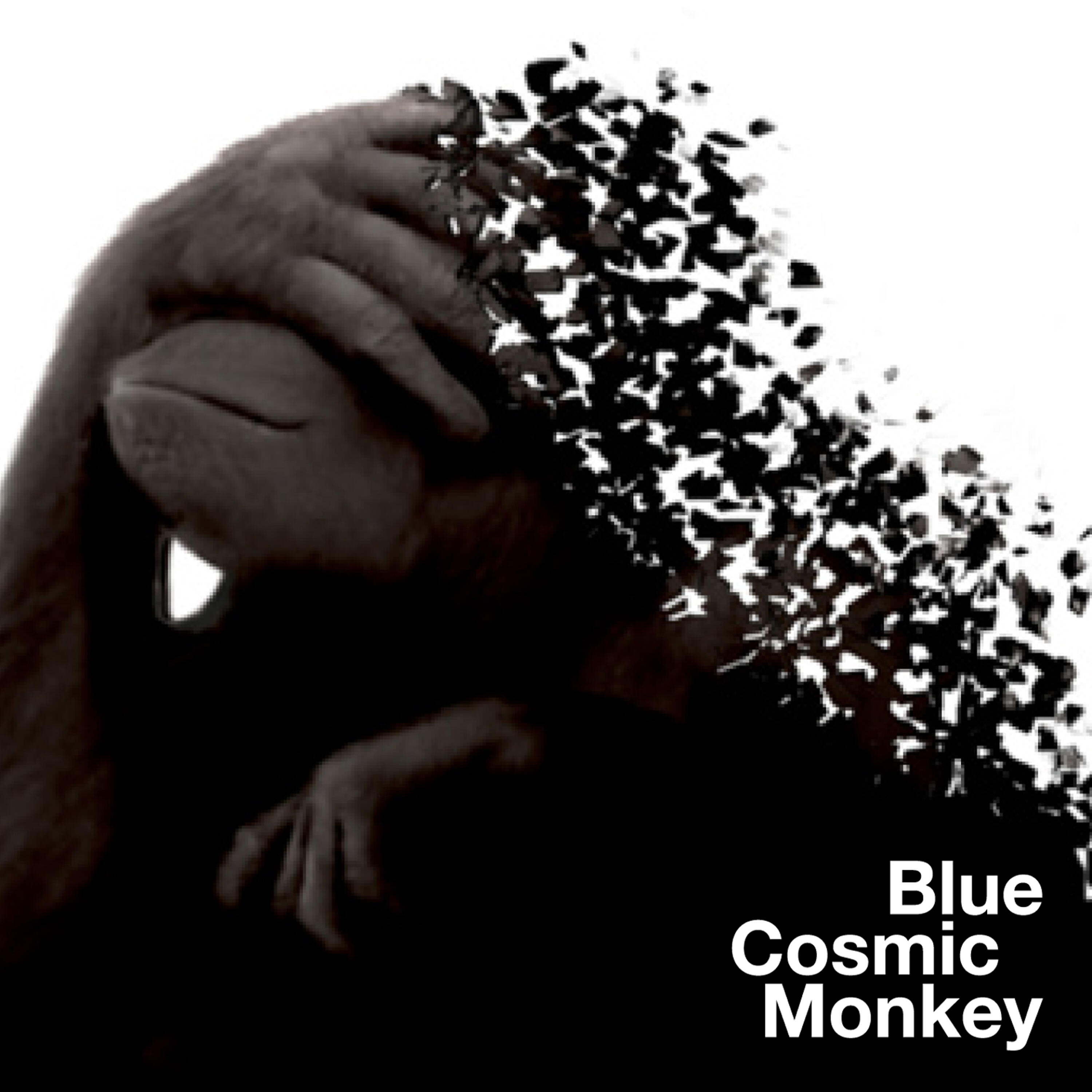 Blue Cosmic Monkey - System Exchange