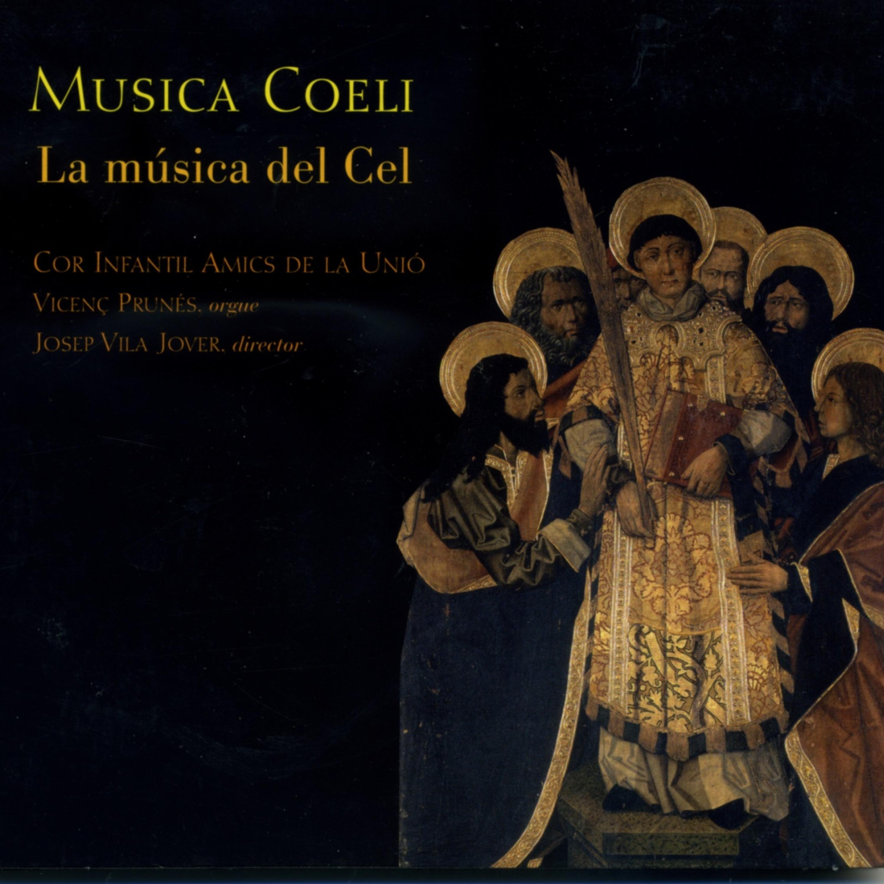 Постер альбома Musica Coeli