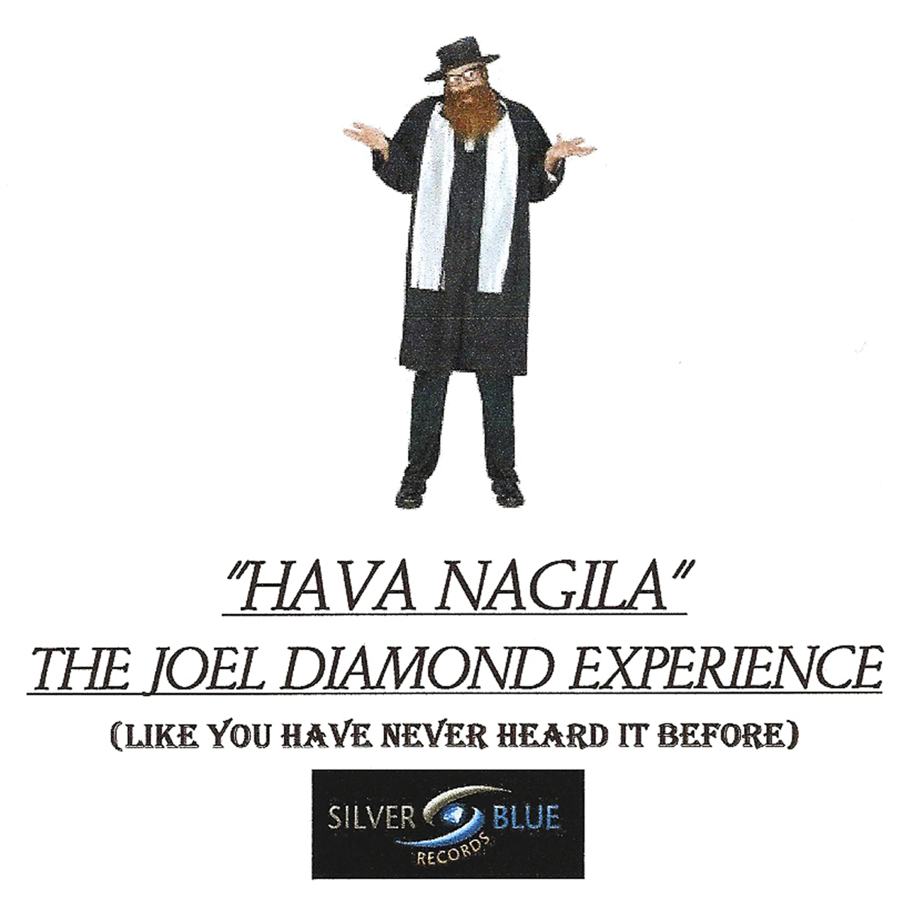 THE JOEL DIAMOND EXPERIENCE - HAVA NAGILA