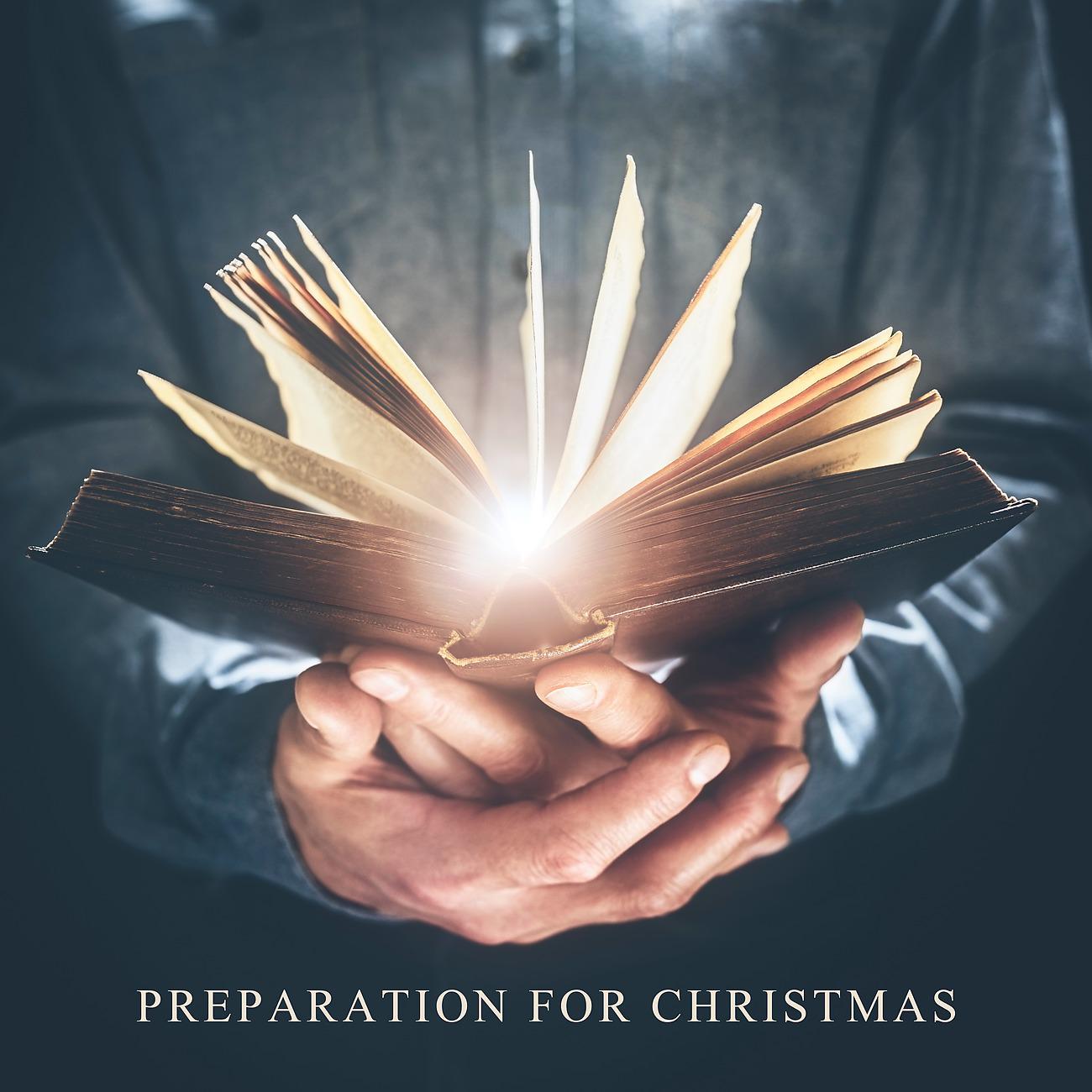 Постер альбома Preparation for Christmas