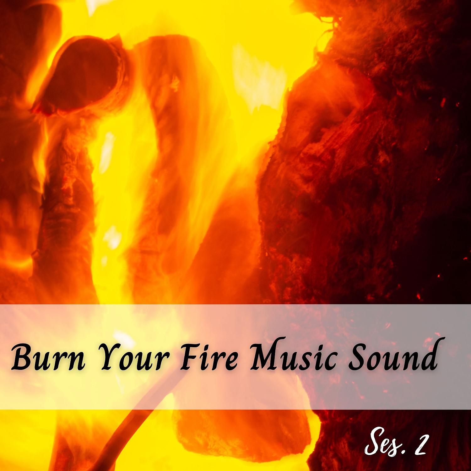 Постер альбома Burn Your Fire Music Sound Ses. 2