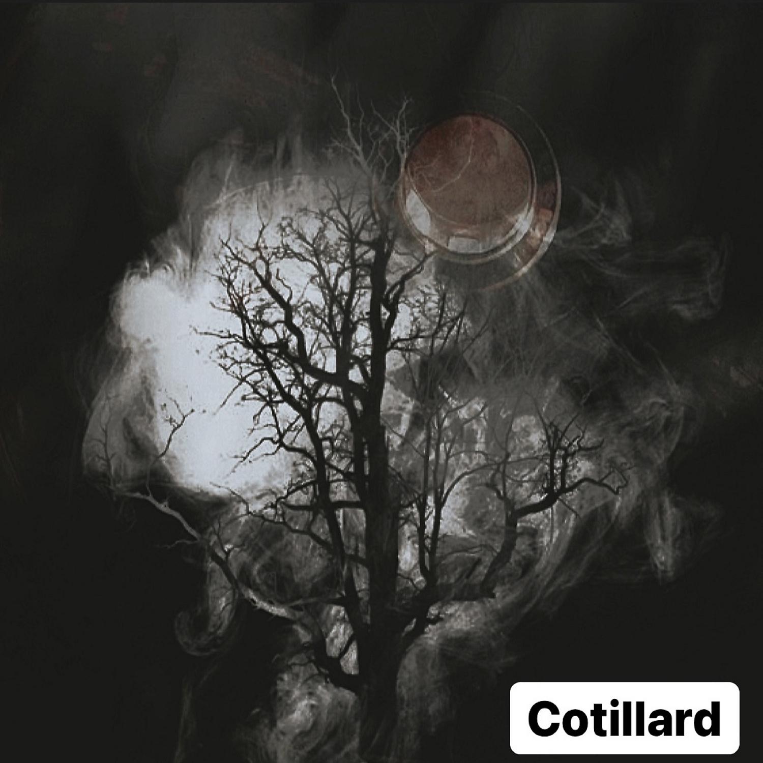 Постер альбома Cotillard
