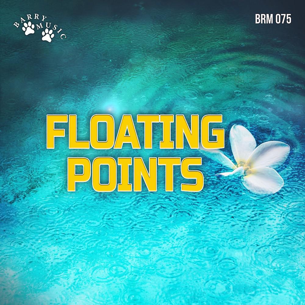 Постер альбома Floating Points