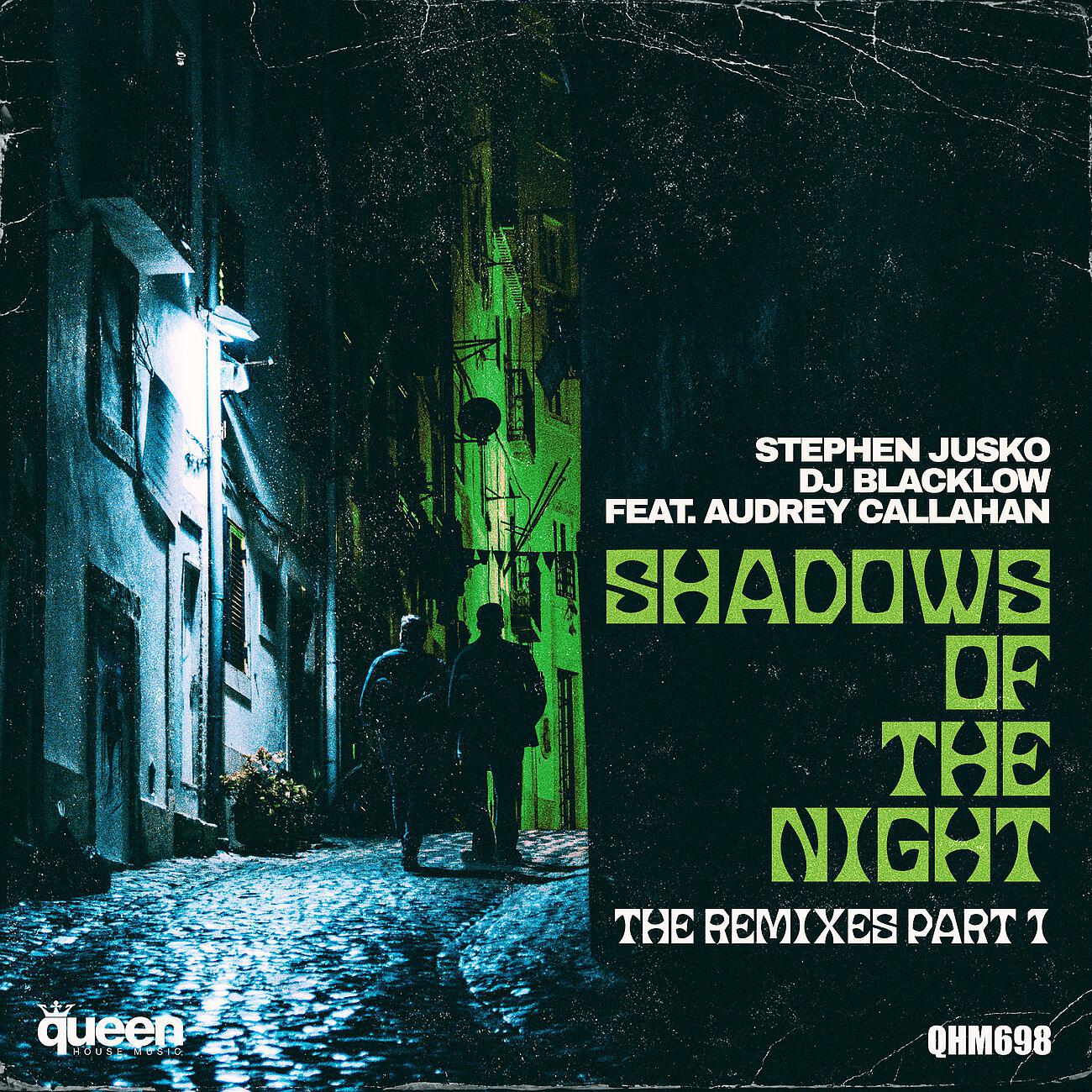 Stephen Jusko - Shadows of the Night (Dan Slater Disco Remix)