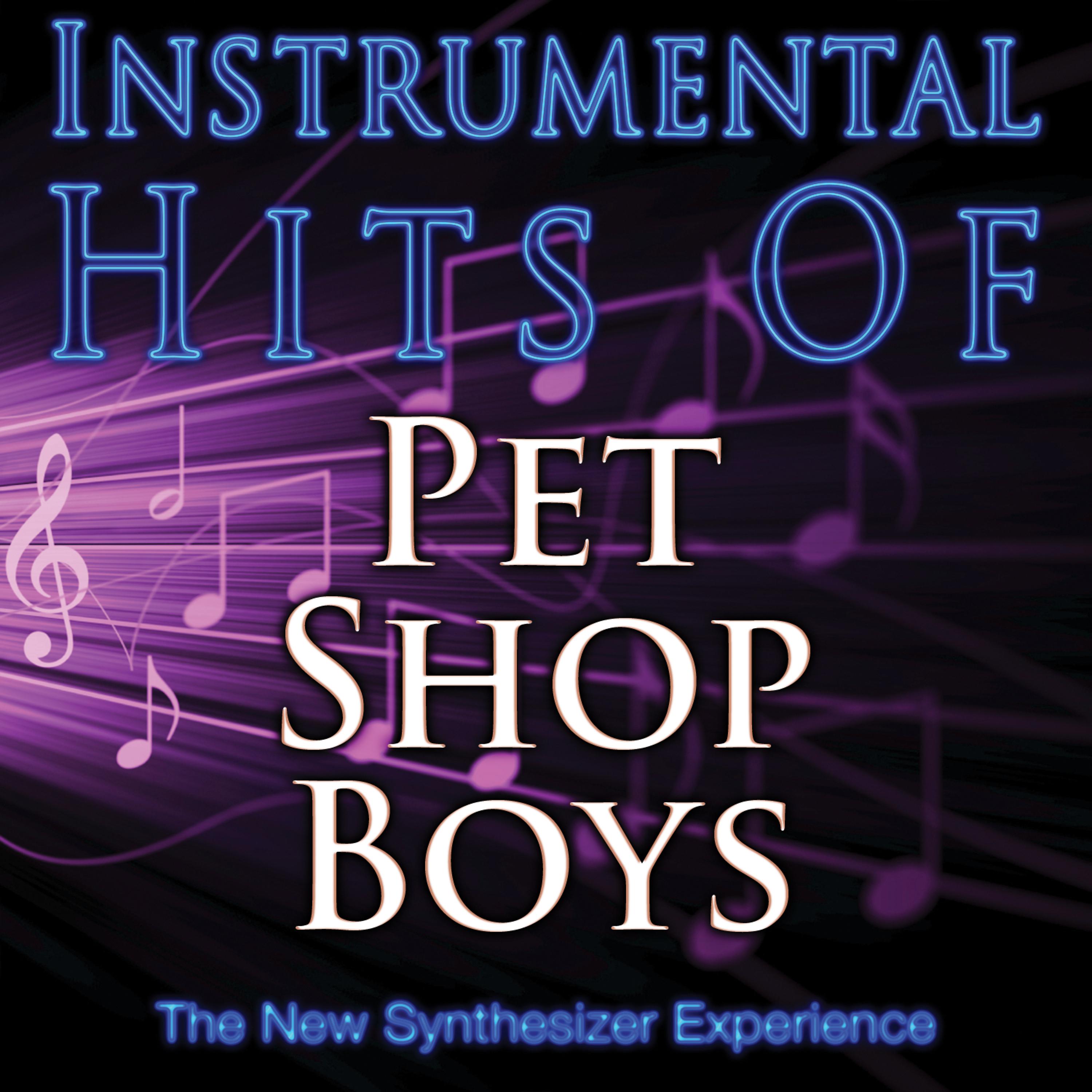 Постер альбома Instrumental Hits Of Pet Shop Boys