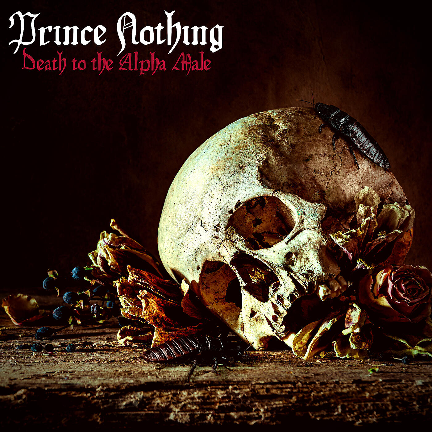 Prince Nothing - Wild Angles & Subversive Lines