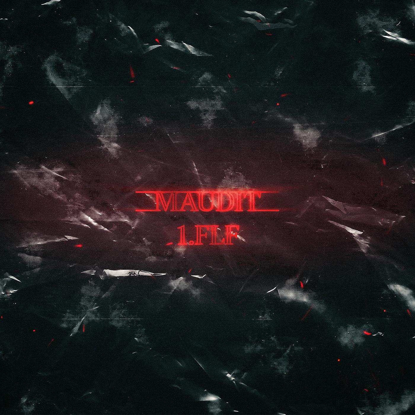 Постер альбома Maudit 1.FLF