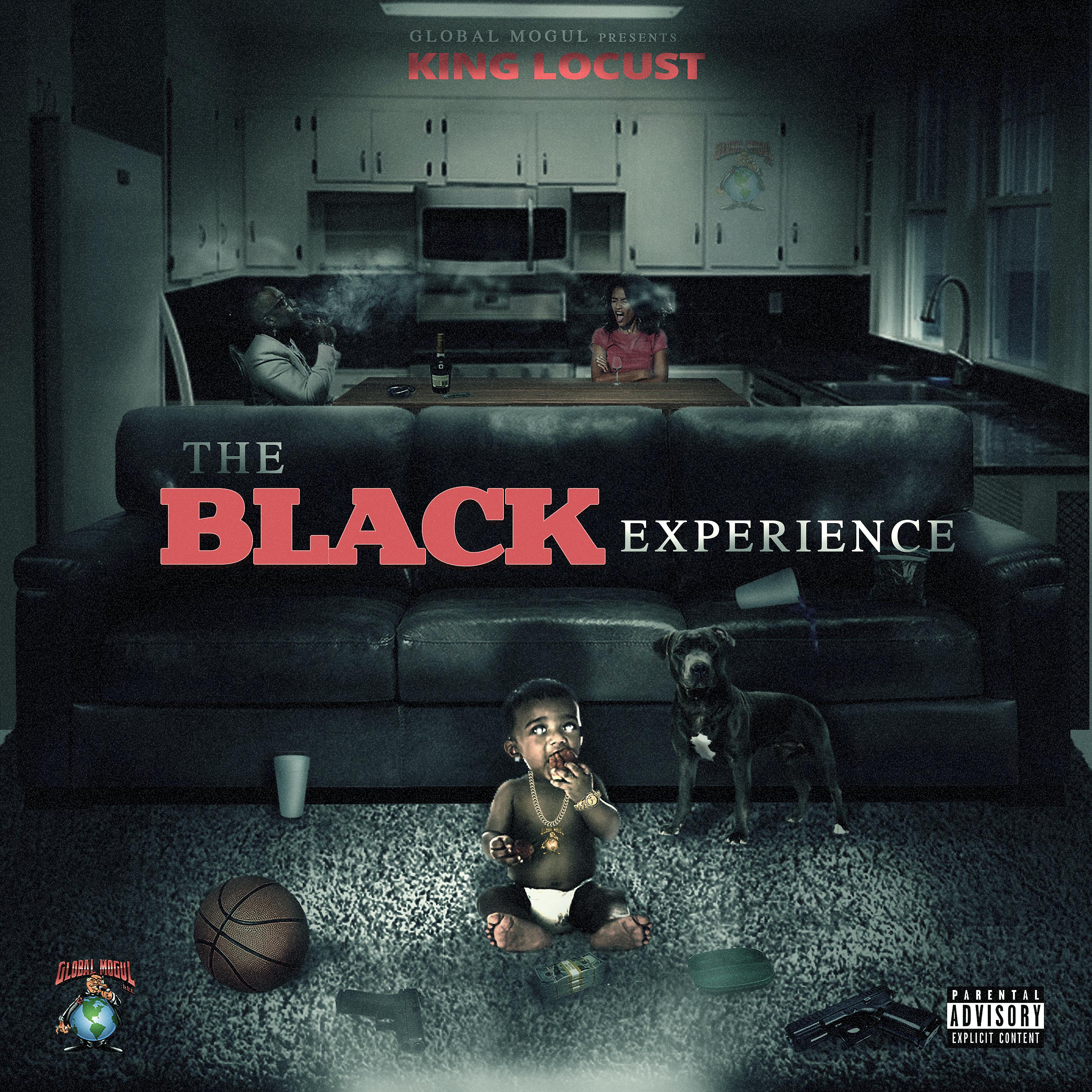Постер альбома The Black Experience