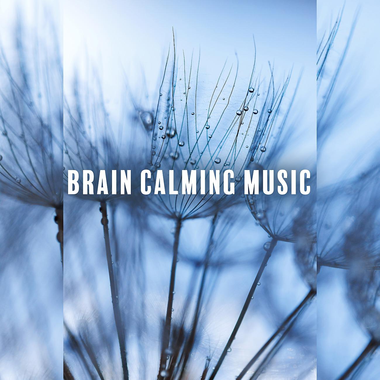 Постер альбома Brain Calming Music