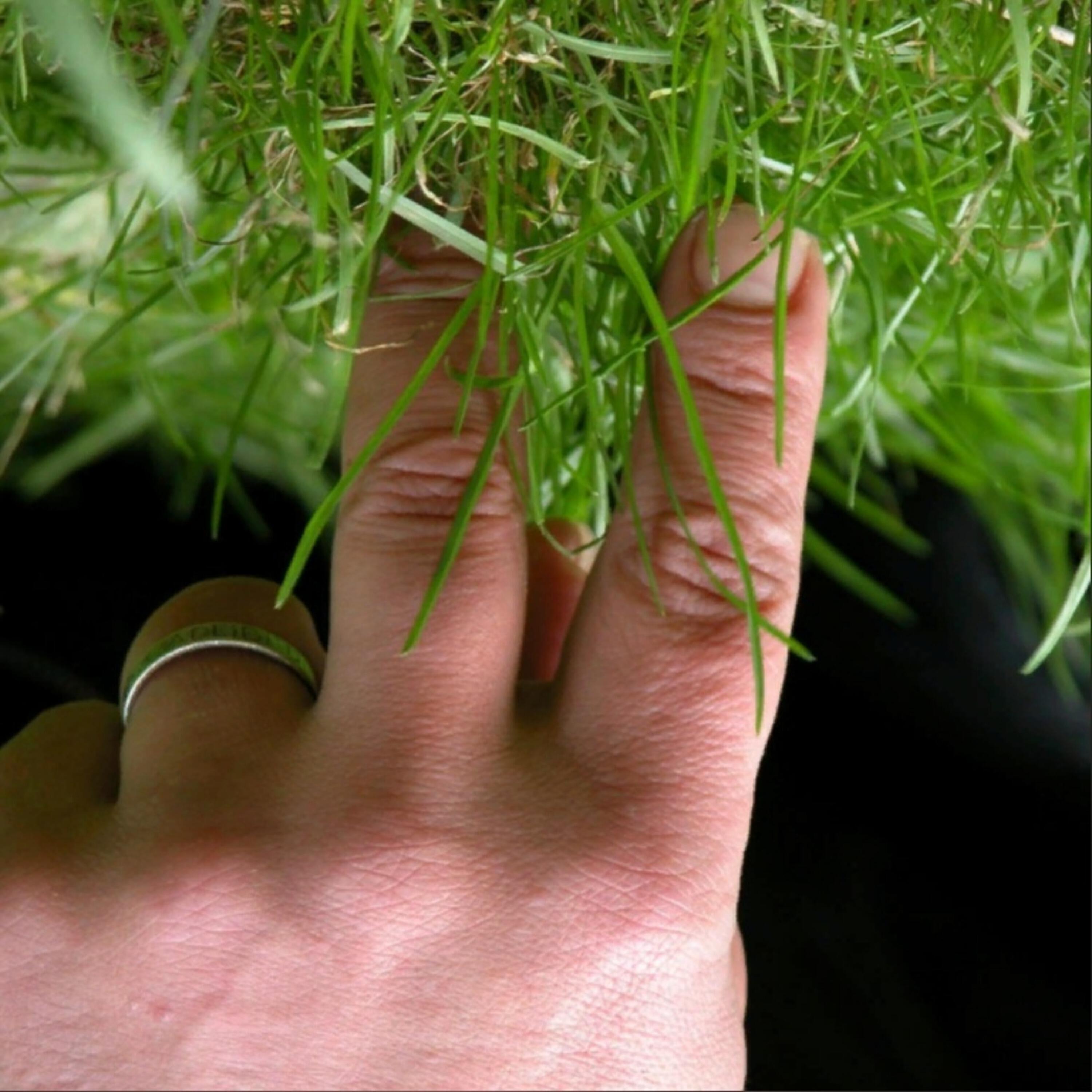 AdLlibitum все песни в mp3