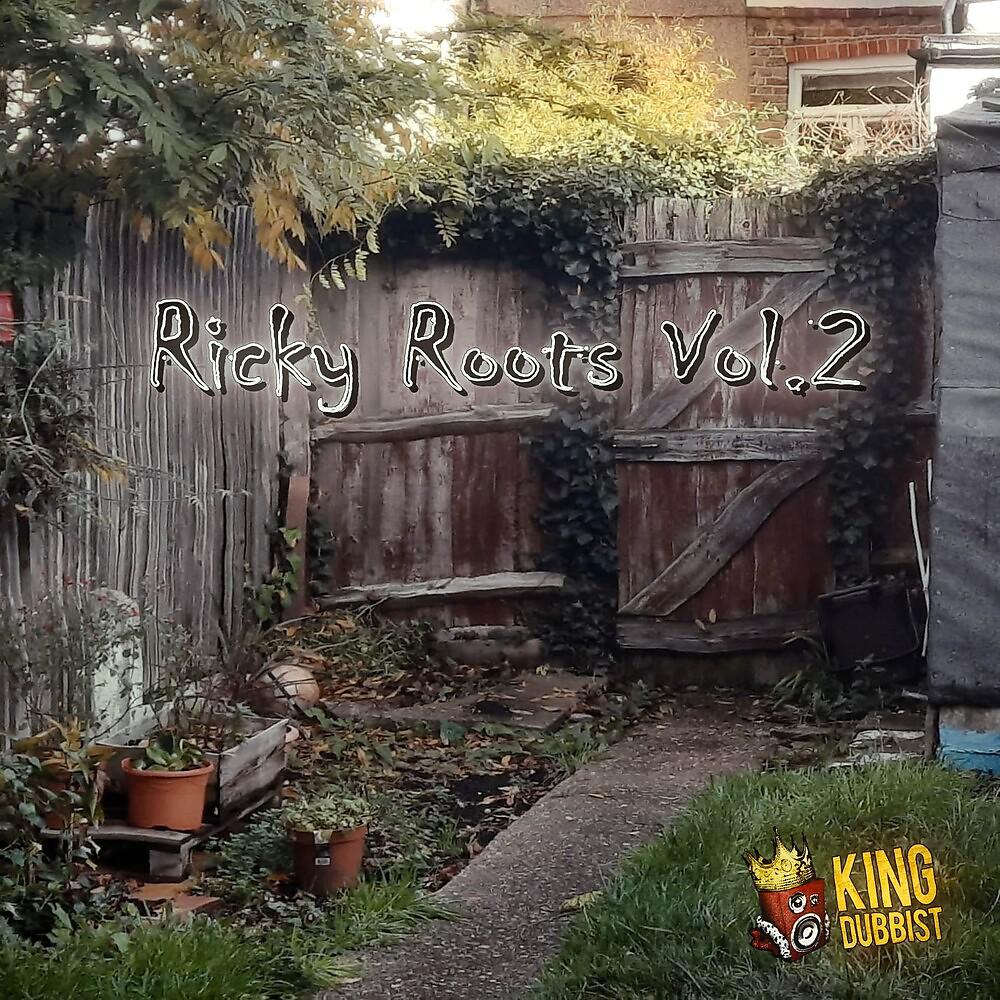Постер альбома Ricky Roots Vol.2