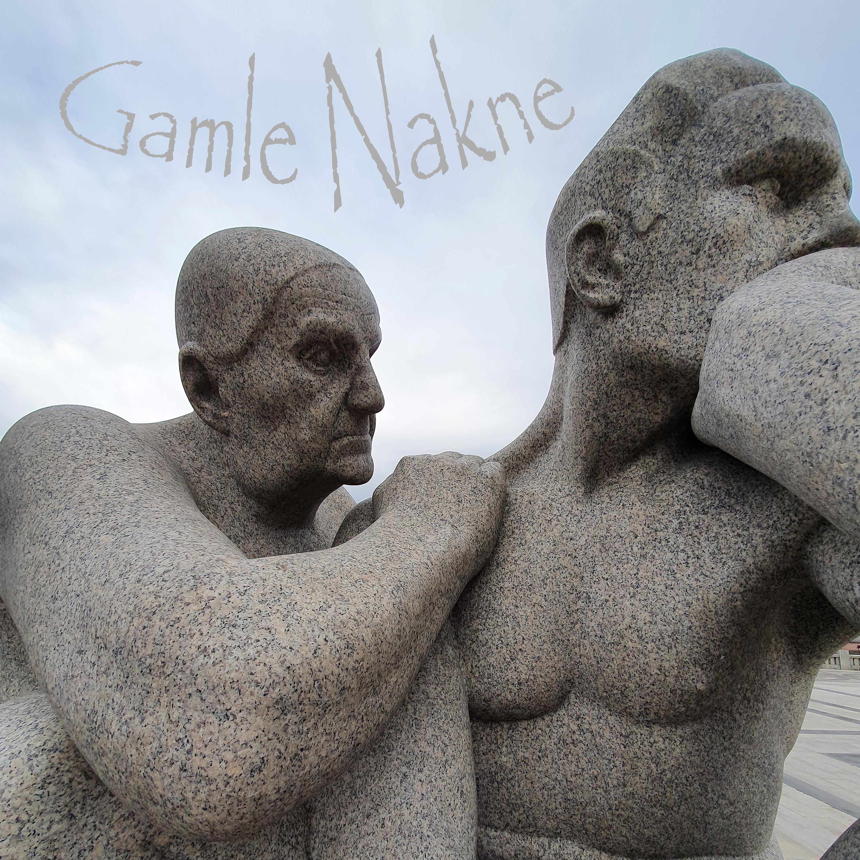 Постер альбома Gamle nakne
