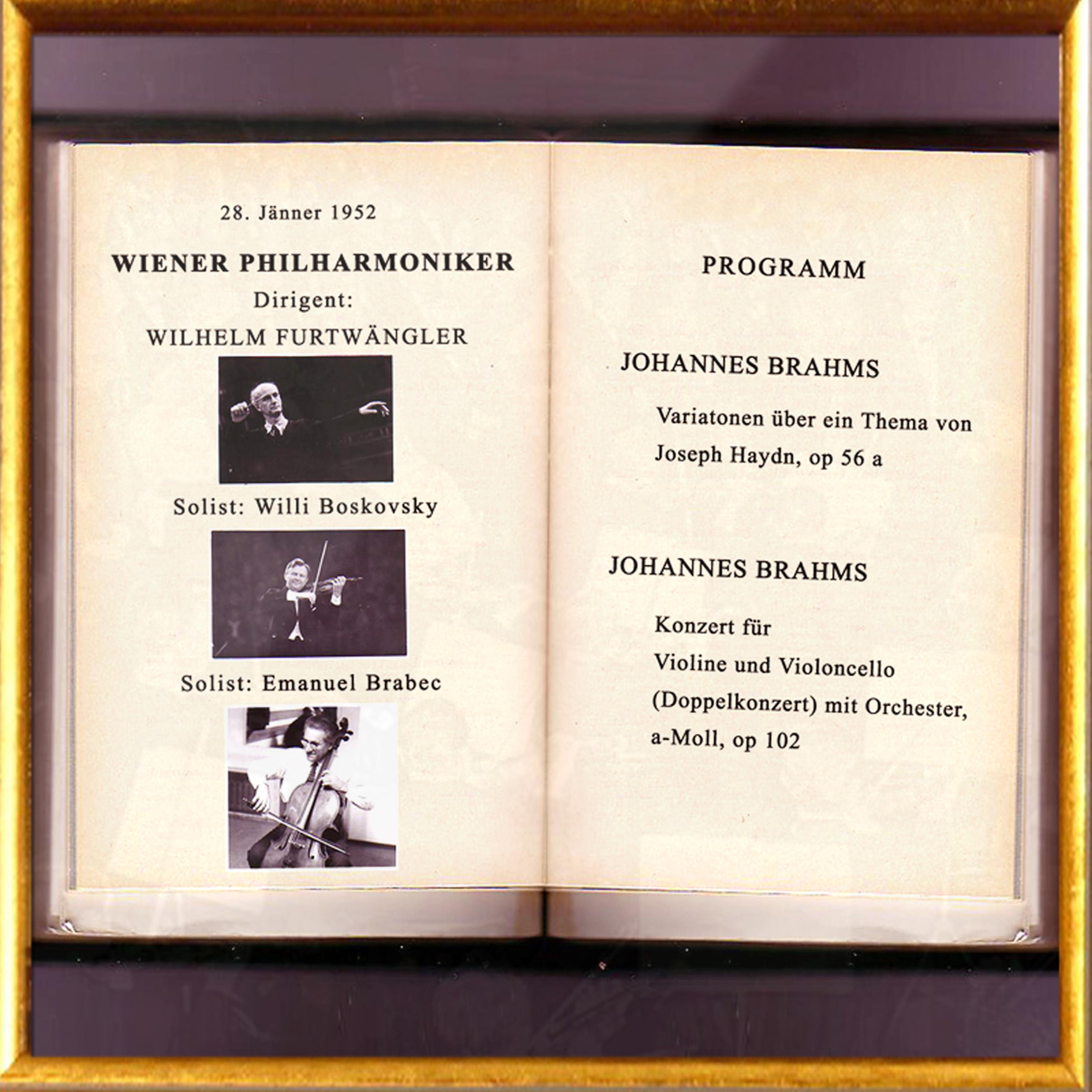 Постер альбома Wiener Philharmoniker - Joseph Haydn, Johannes Brahms