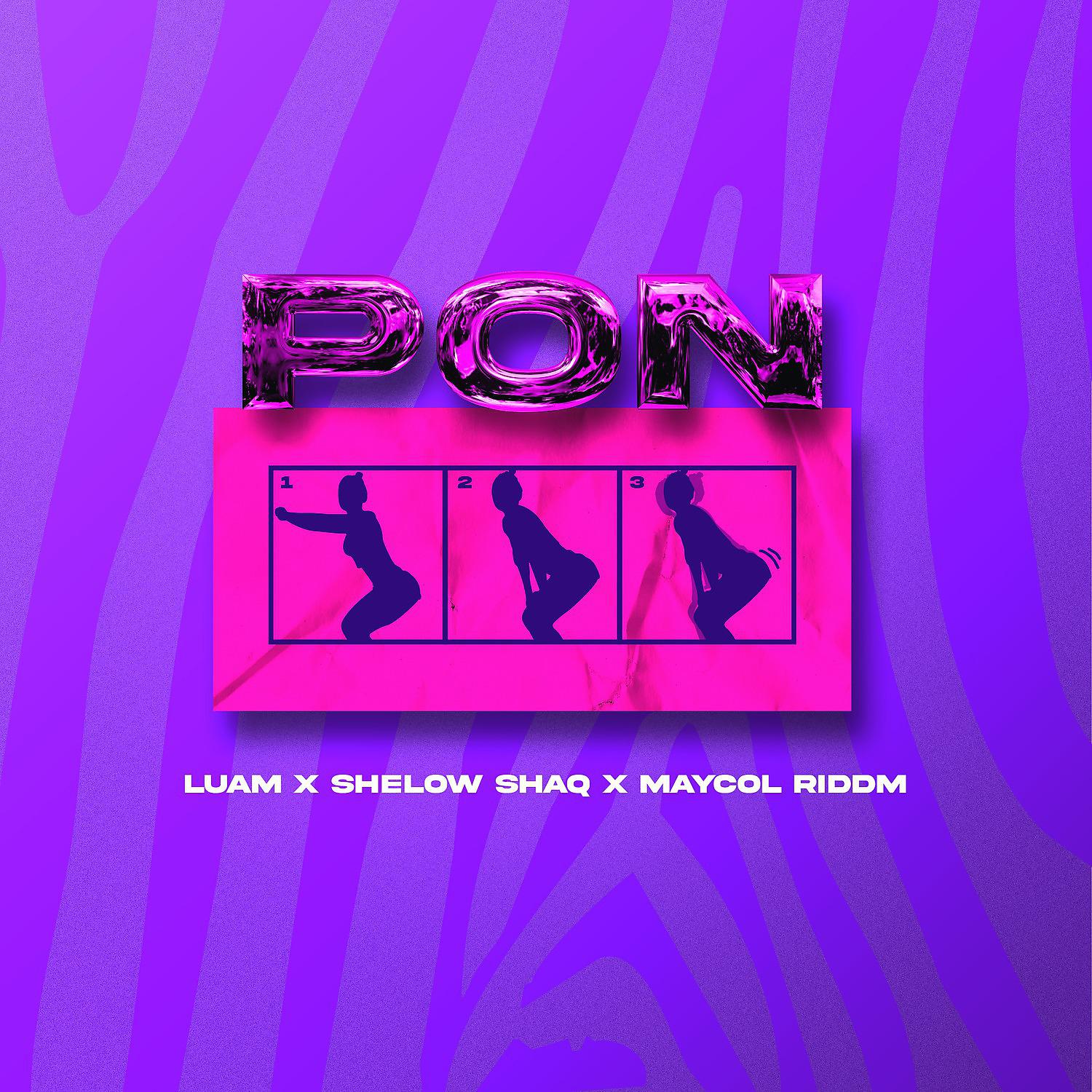 Постер альбома Pon