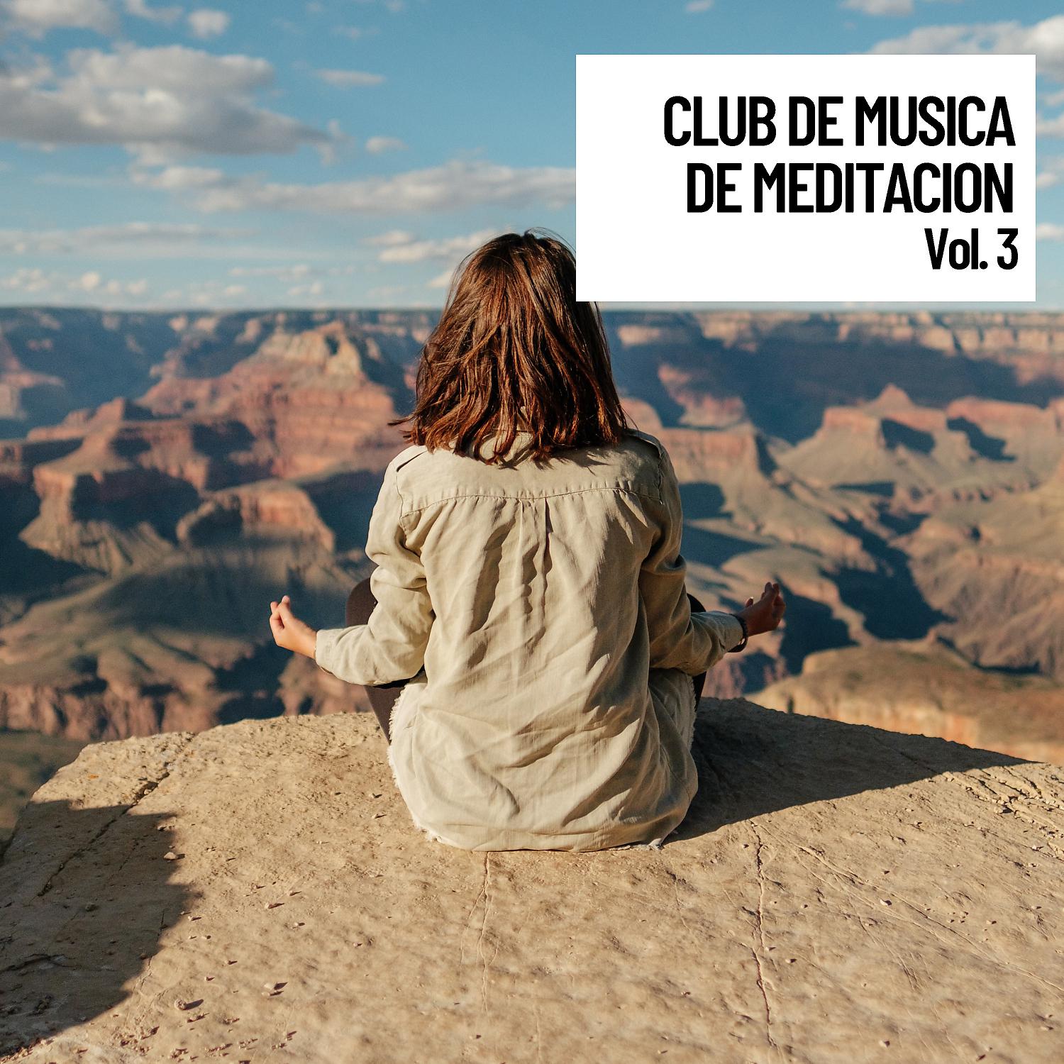 Постер альбома Club de musica de meditacion, Musica Esoterica