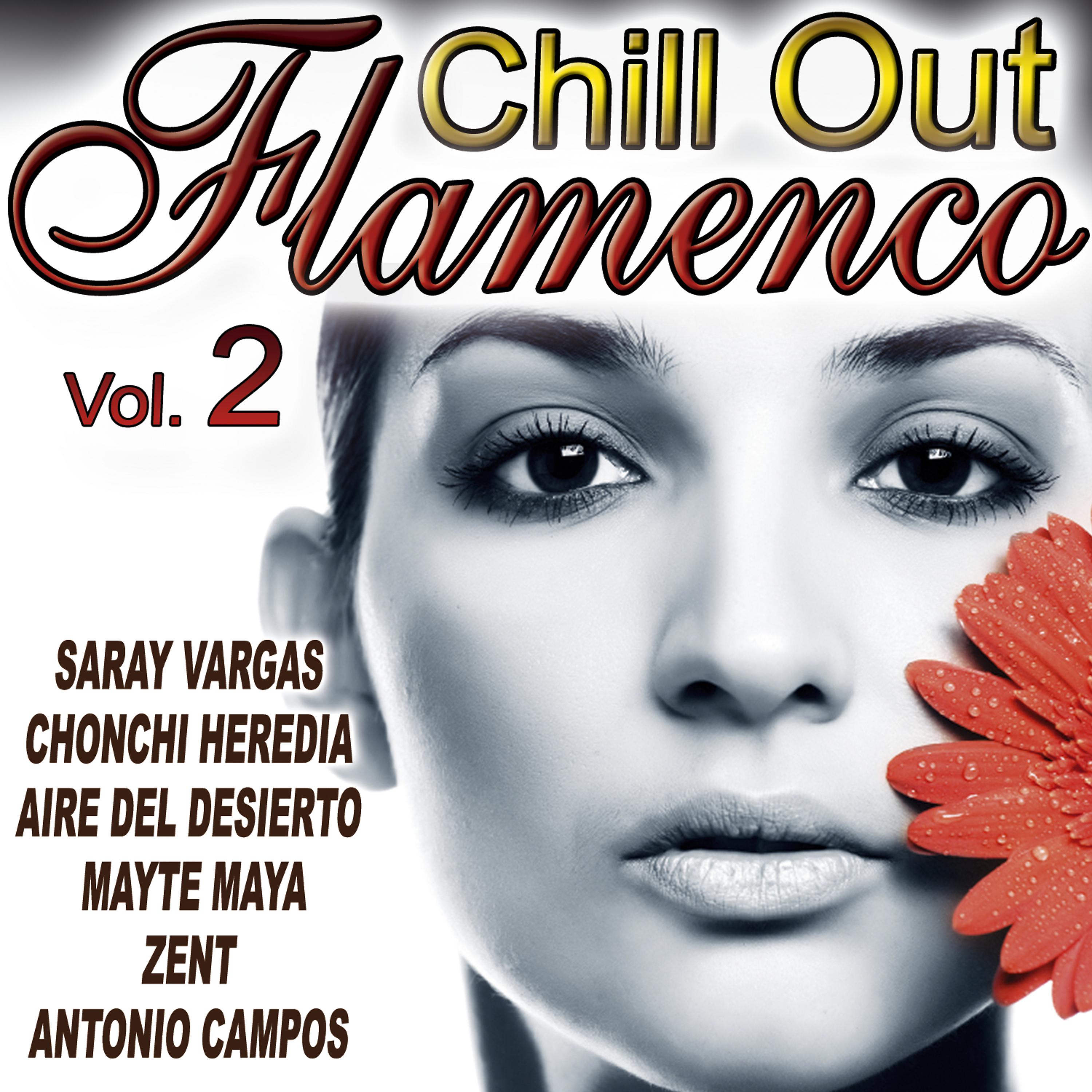 Постер альбома Flamenco Chill Out Vol. 2