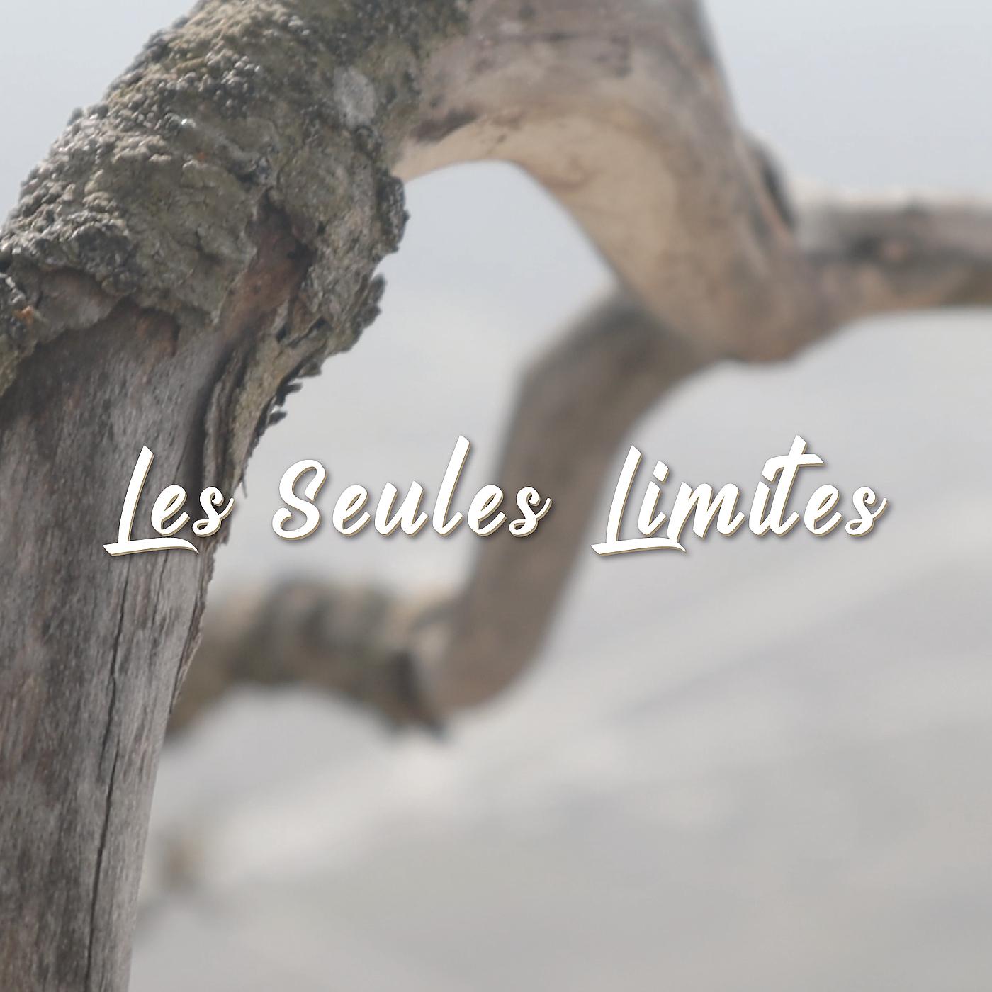 Постер альбома Les seules limites