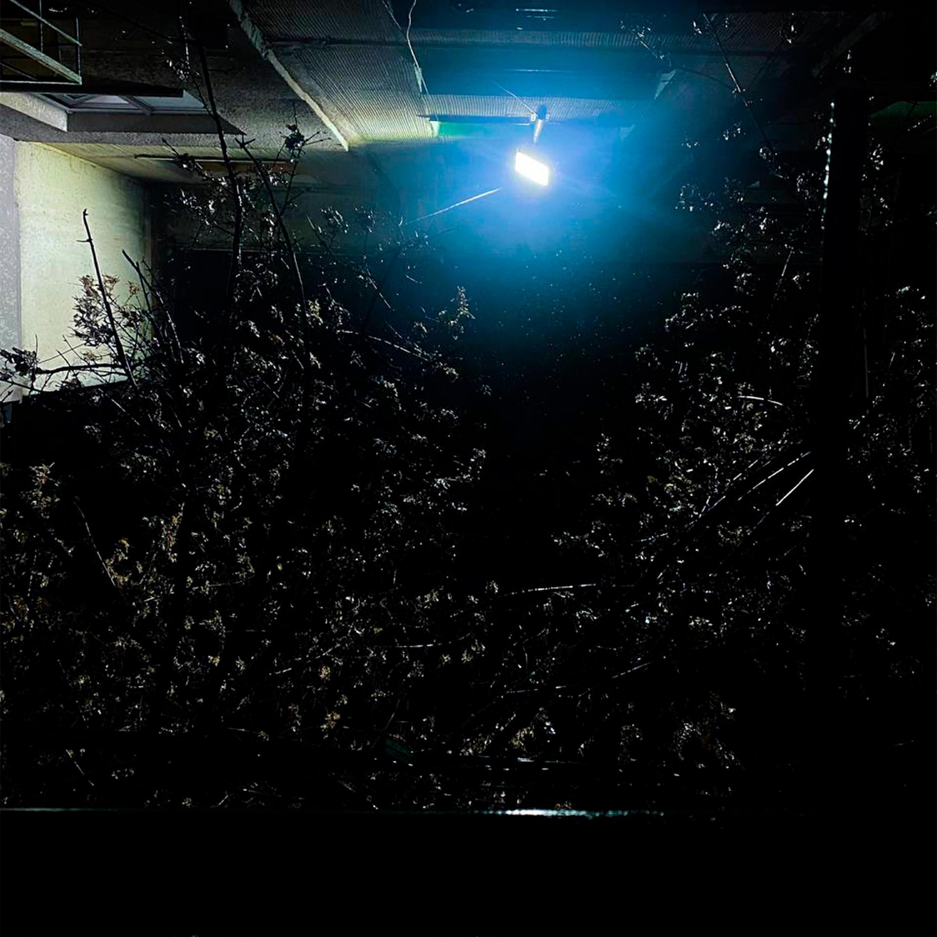 Nuricko все песни в mp3