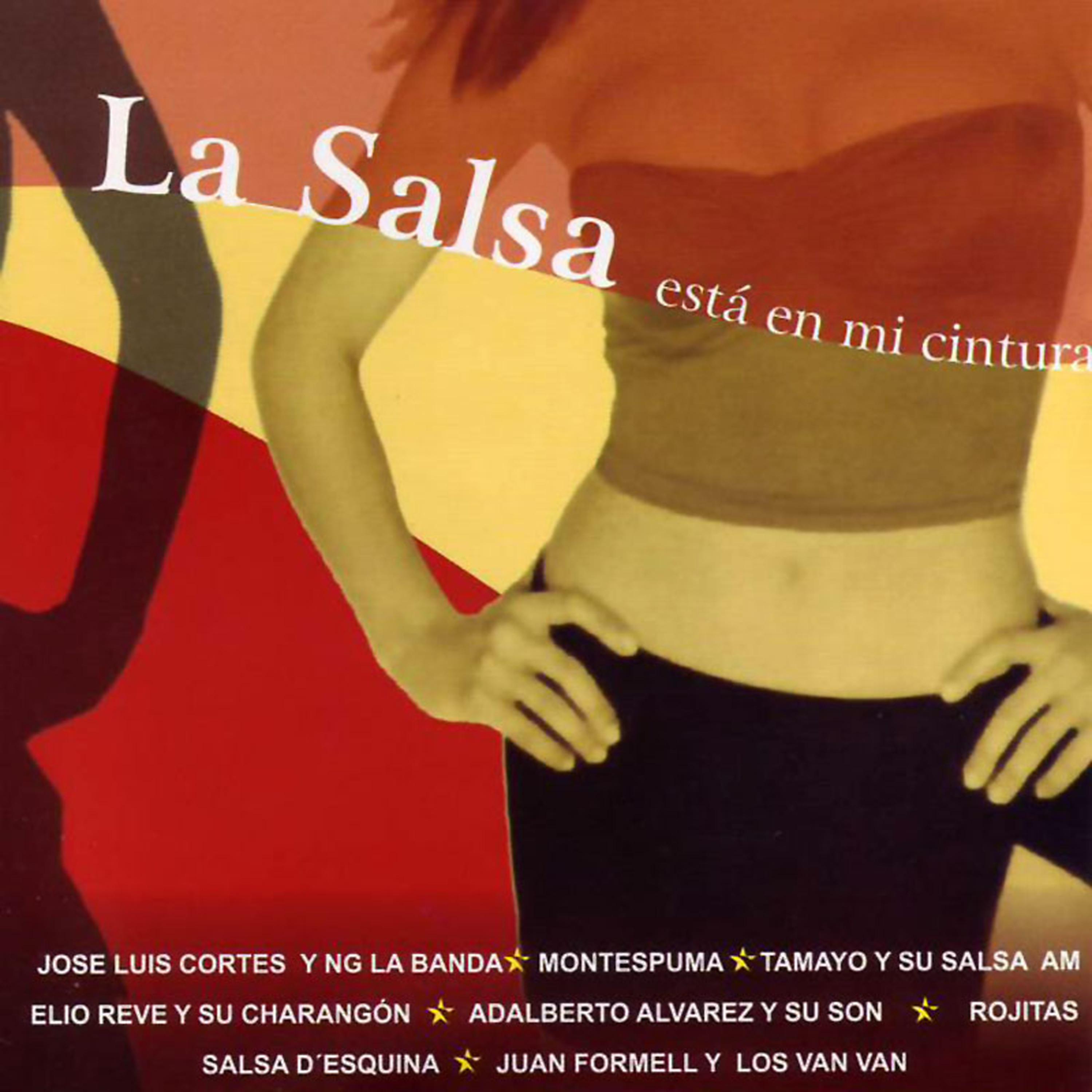 Постер альбома La Salsa Esta En Mi Cintura
