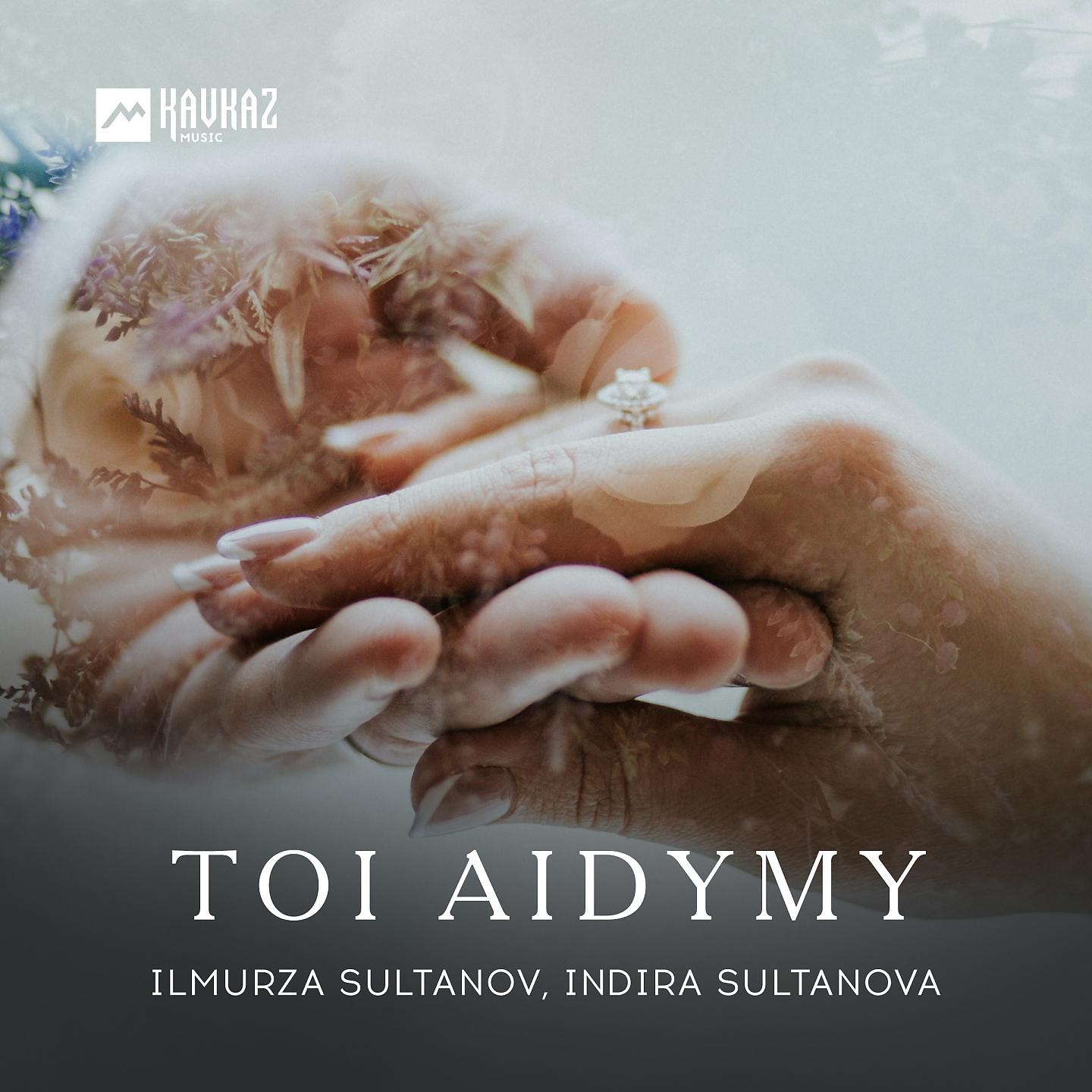 Постер альбома Toi aidymy