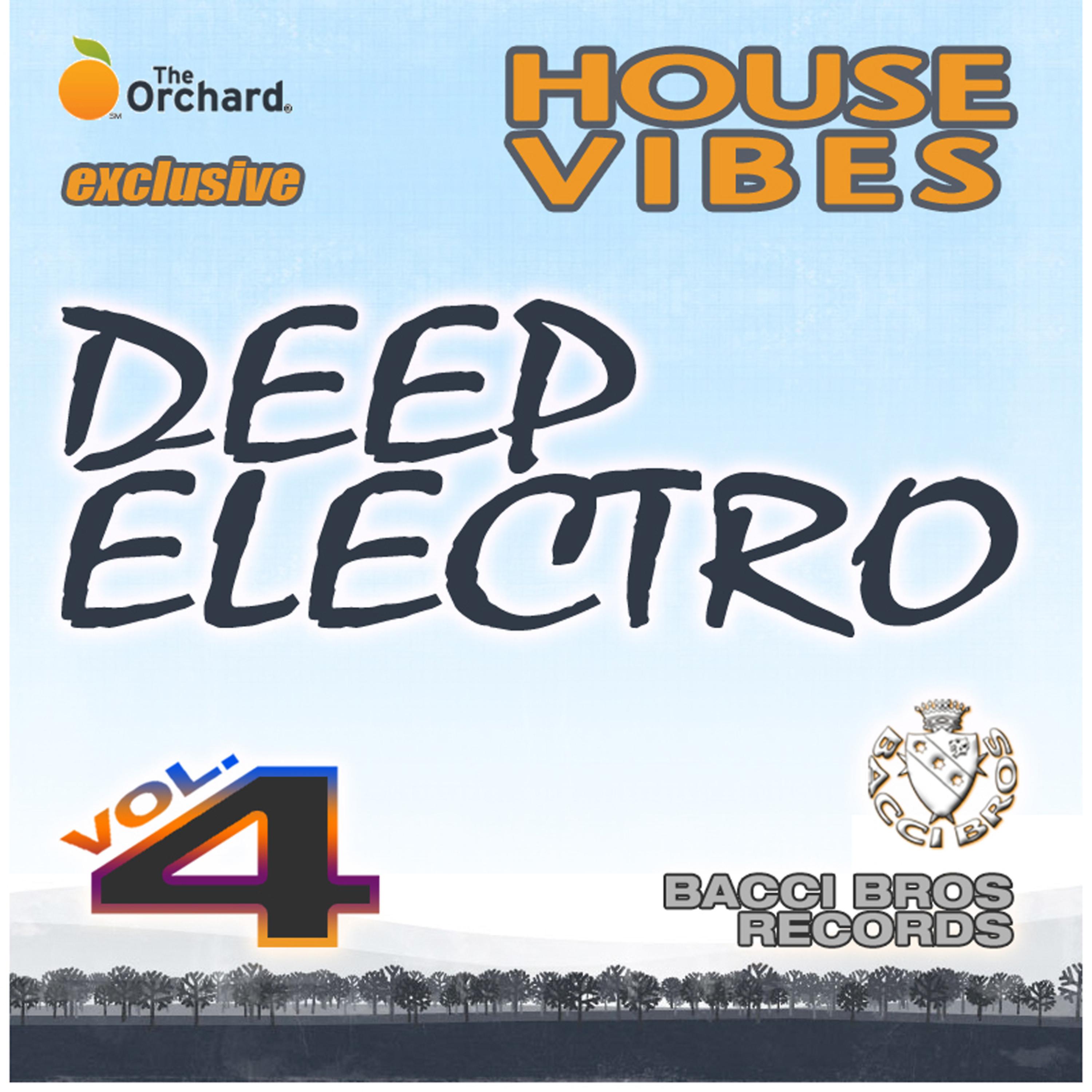 Постер альбома House Vibes: Deep Electro, Vol. 4