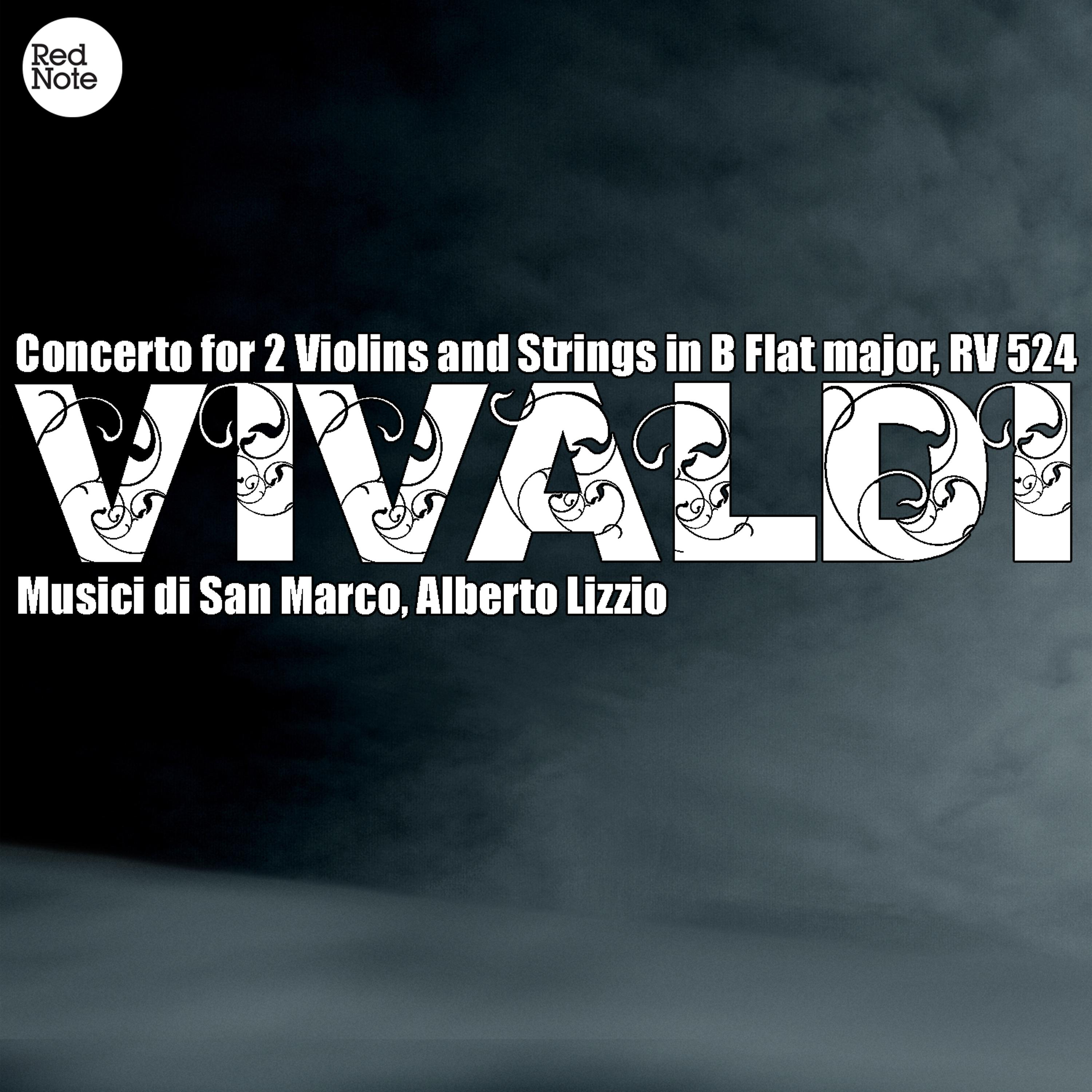 Постер альбома Vivaldi: Concerto for 2 Violins and Strings in B Flat major, RV 524