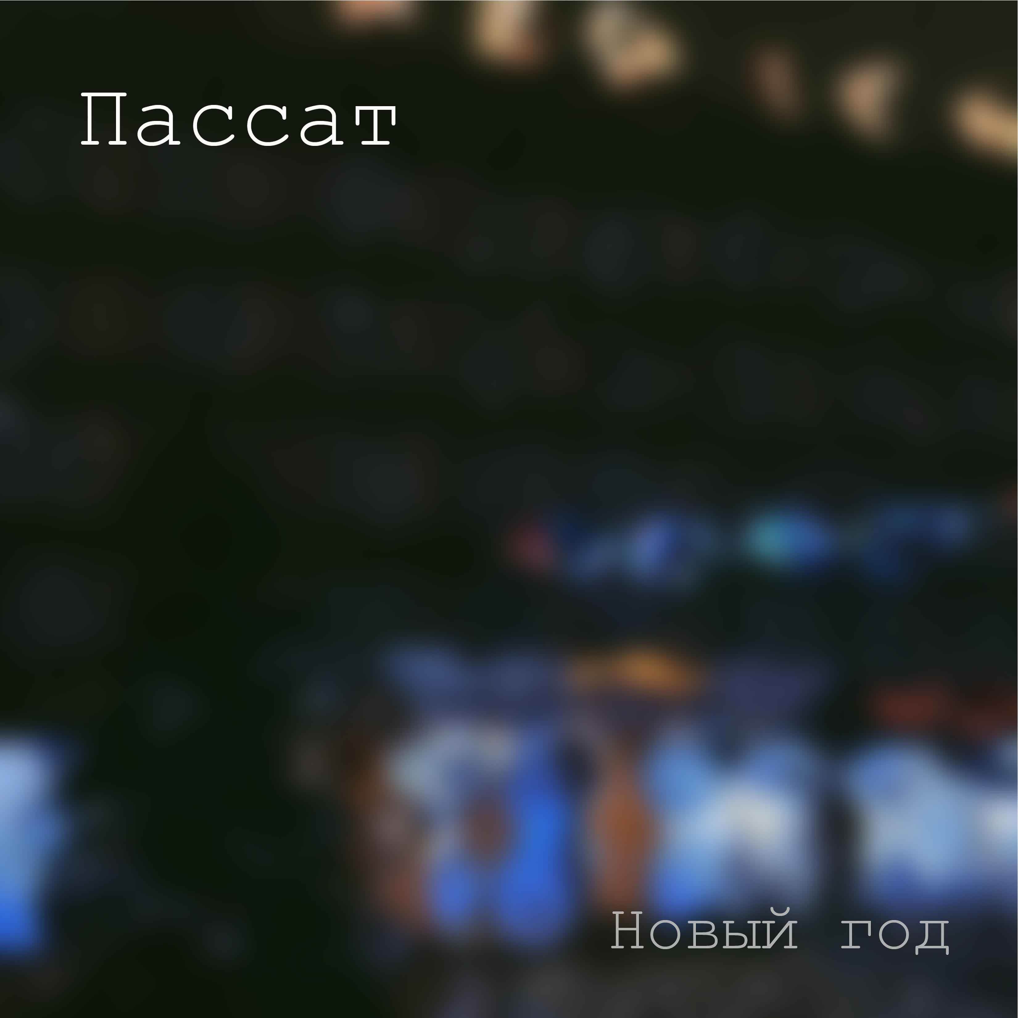 Пассат - Новый год