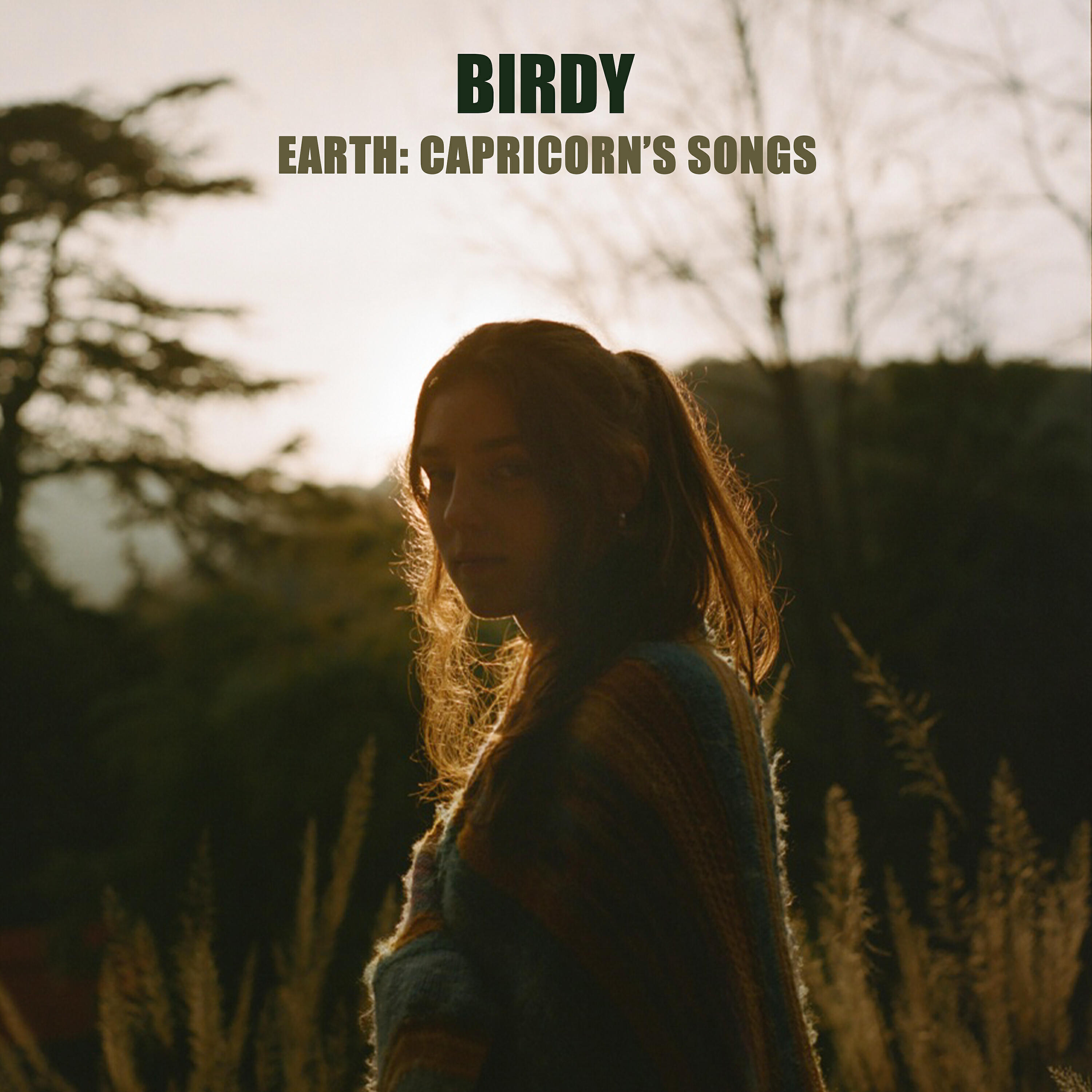 Birdy - White Winter Hymnal