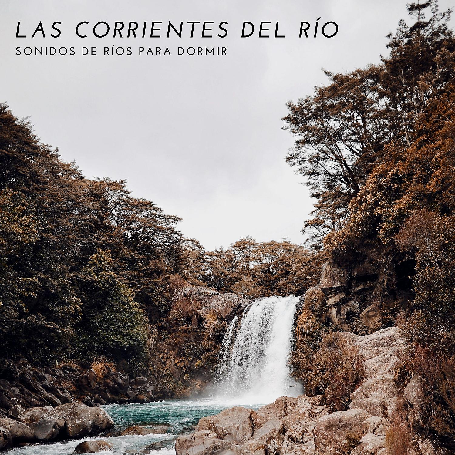 Постер альбома Las Corrientes Del Rio: Sonidos De Rios Para Dormir