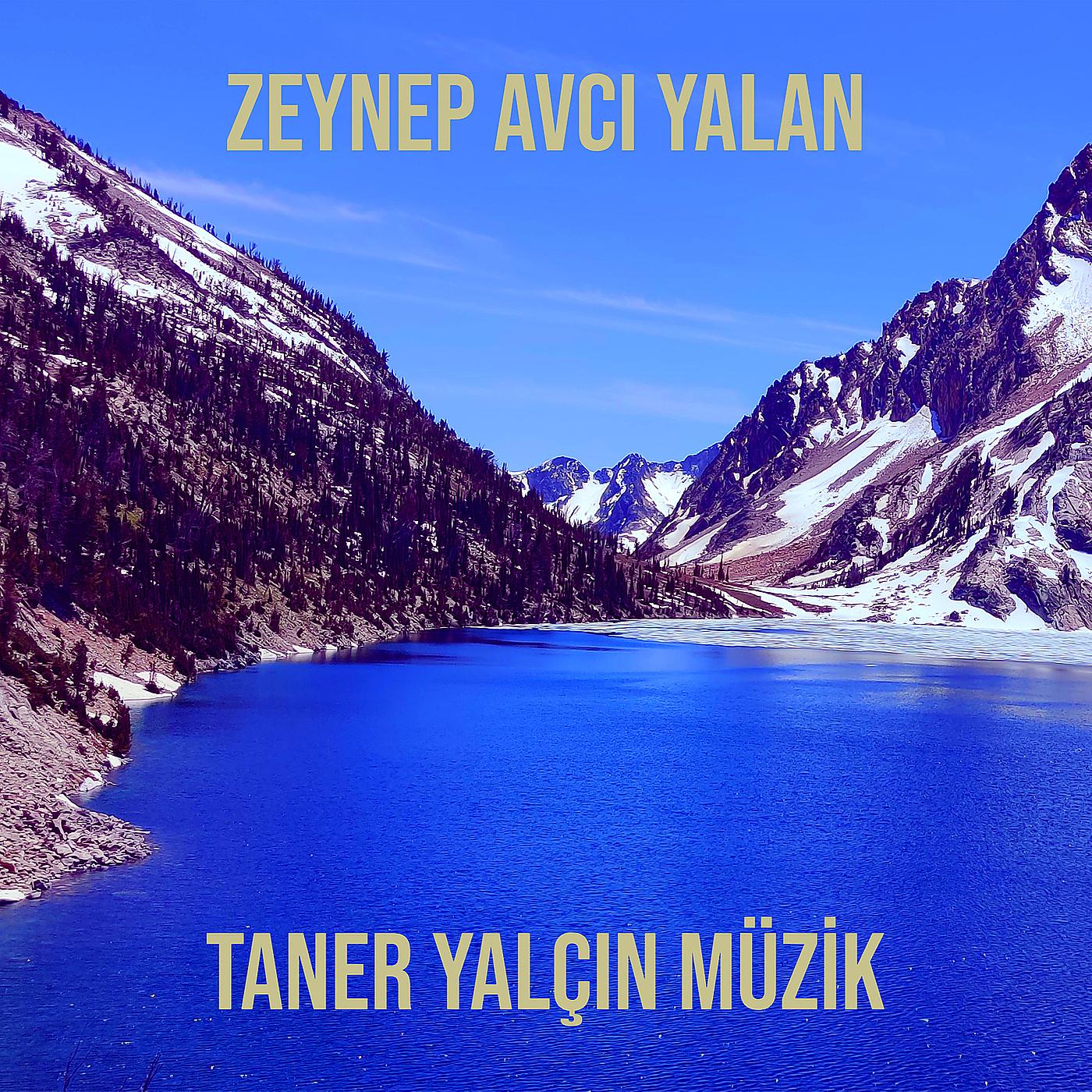 Постер альбома Zeynep Avcı Yalan