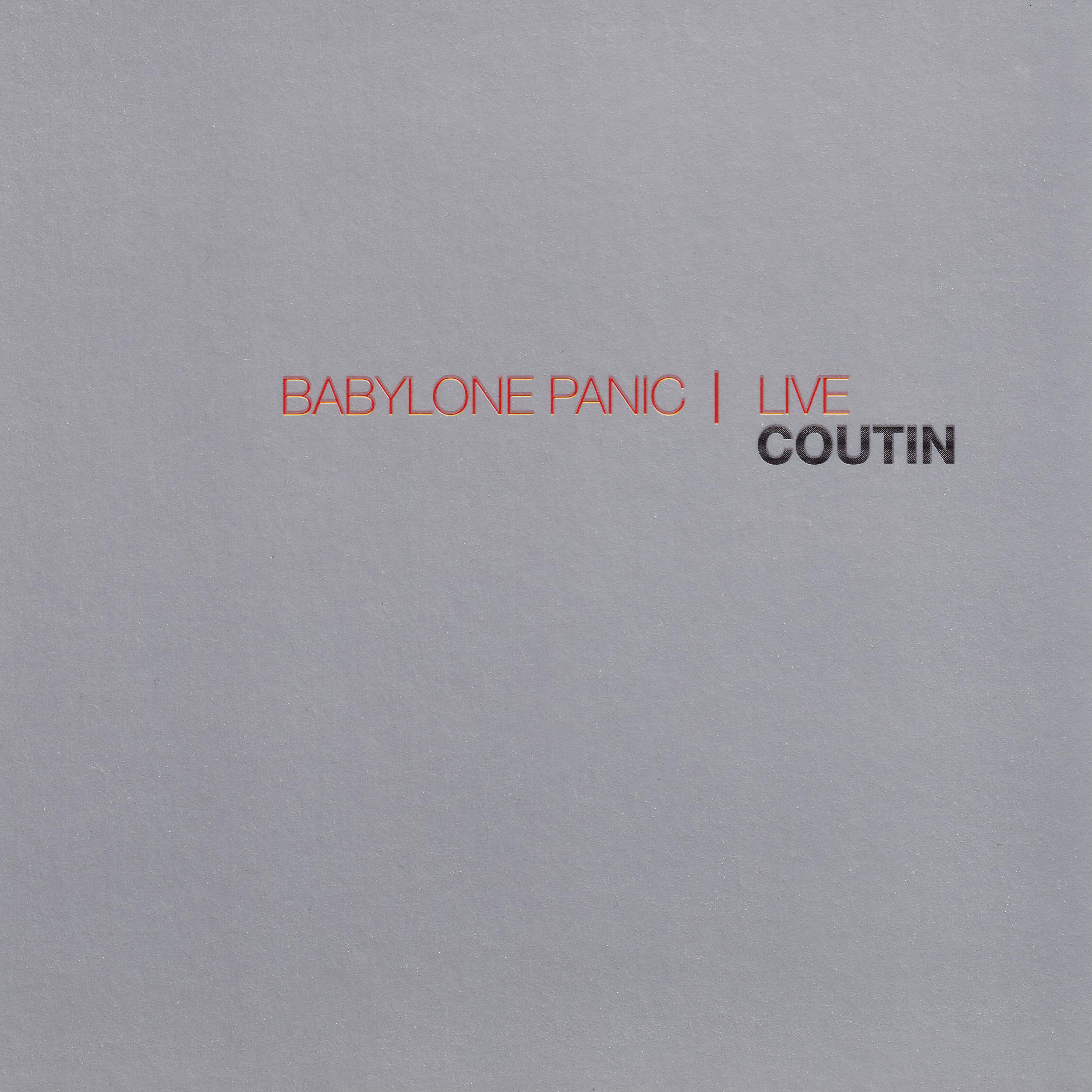 Постер альбома Babylone Panic