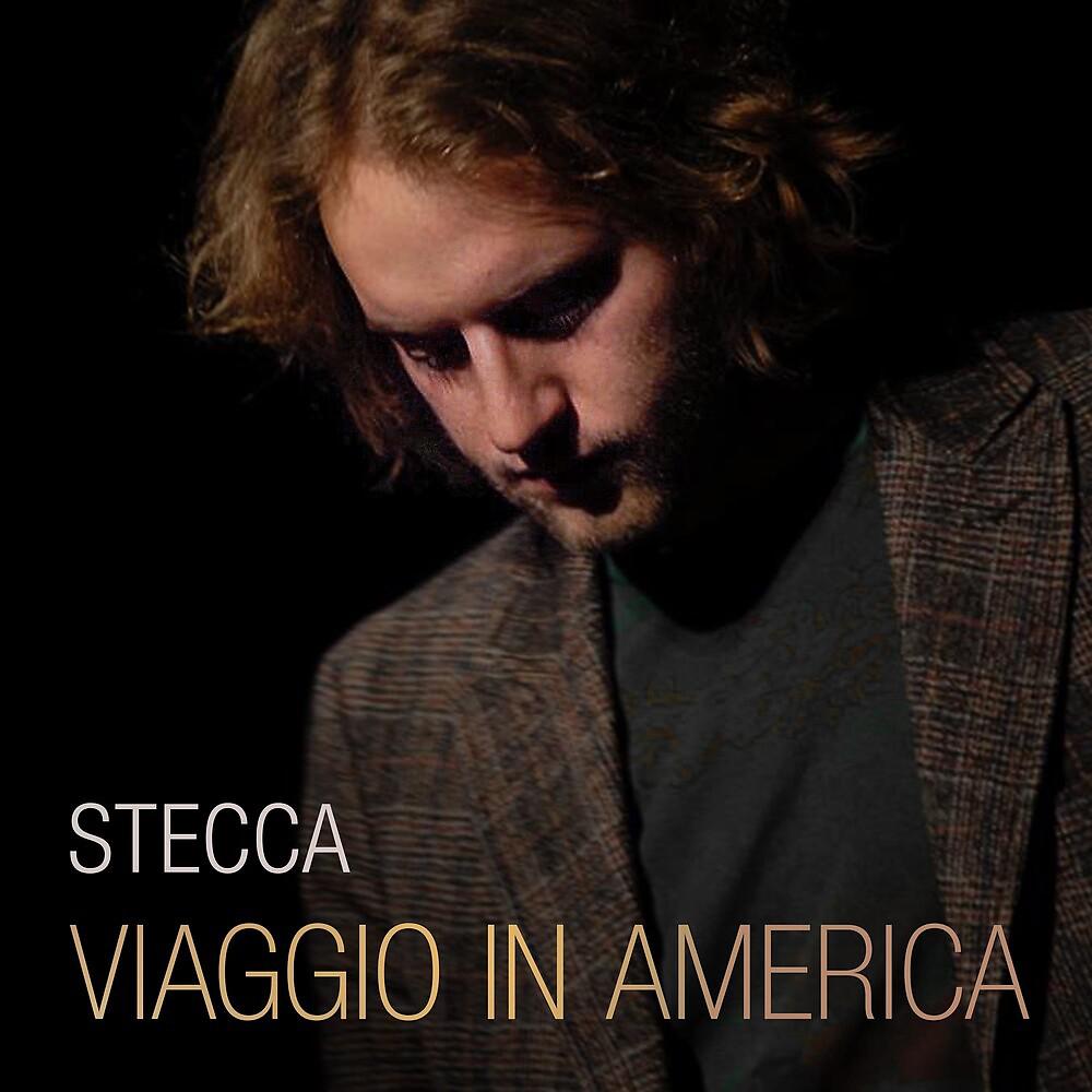 Постер альбома Viaggio in America