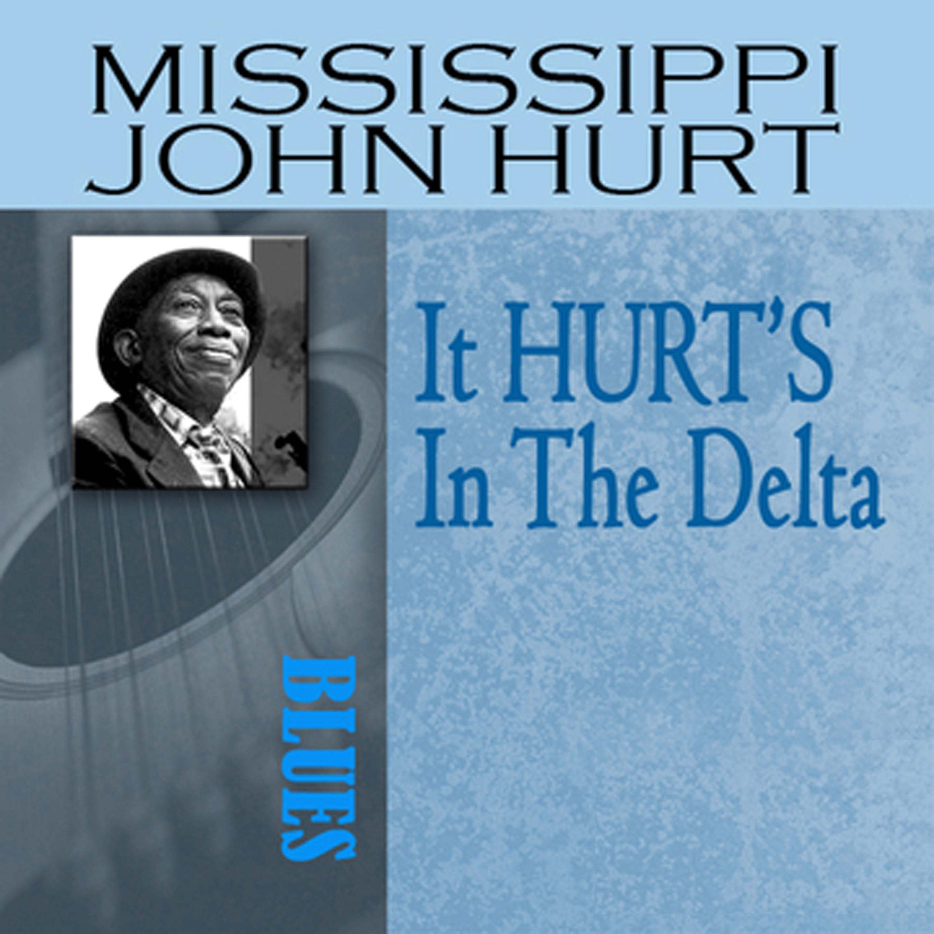 Постер альбома It Hurt's in the Delta