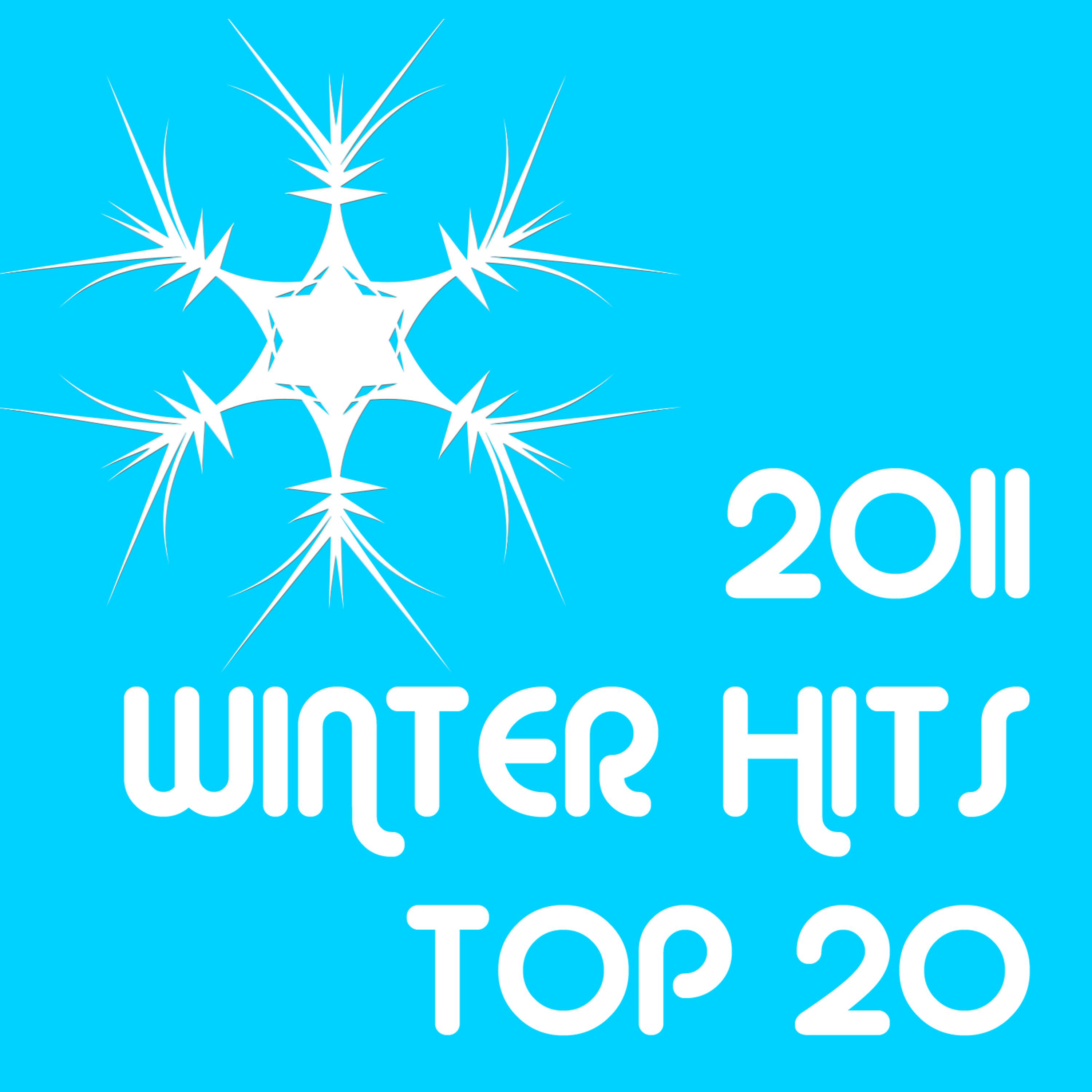 Постер альбома 2011 Winter Hits Top 20