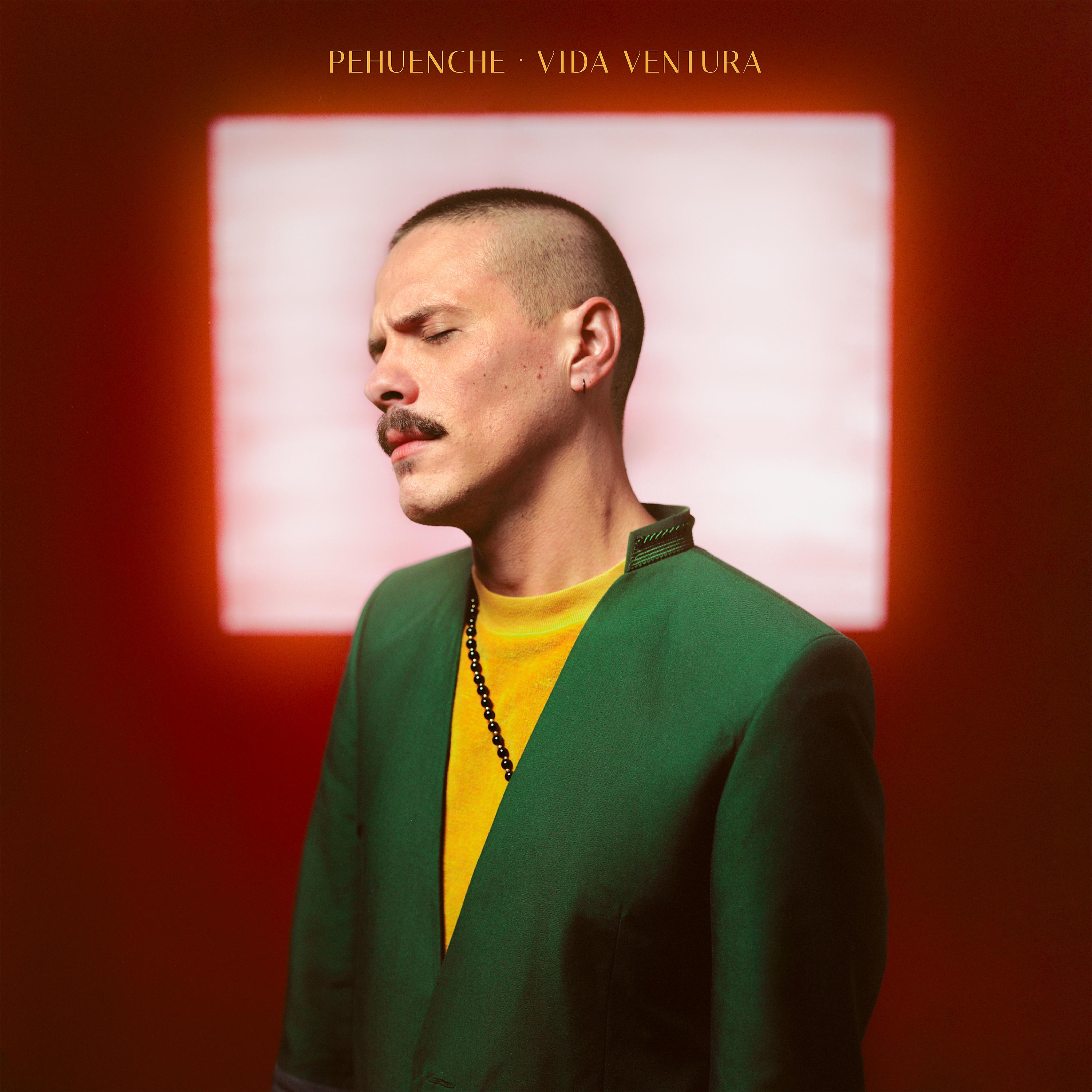 Постер альбома Vida Ventura