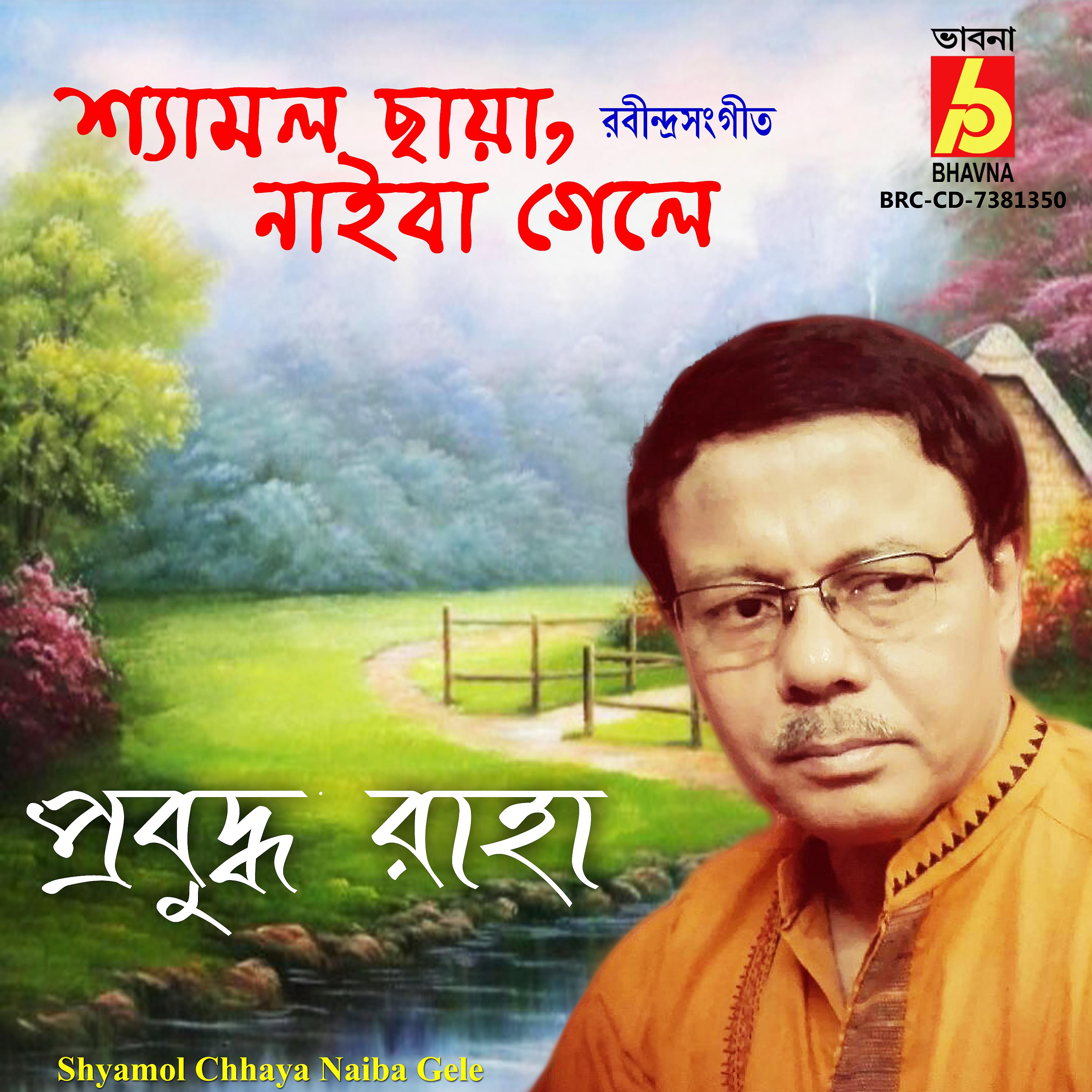 Постер альбома Shyamol Chhaya Naiba Gele