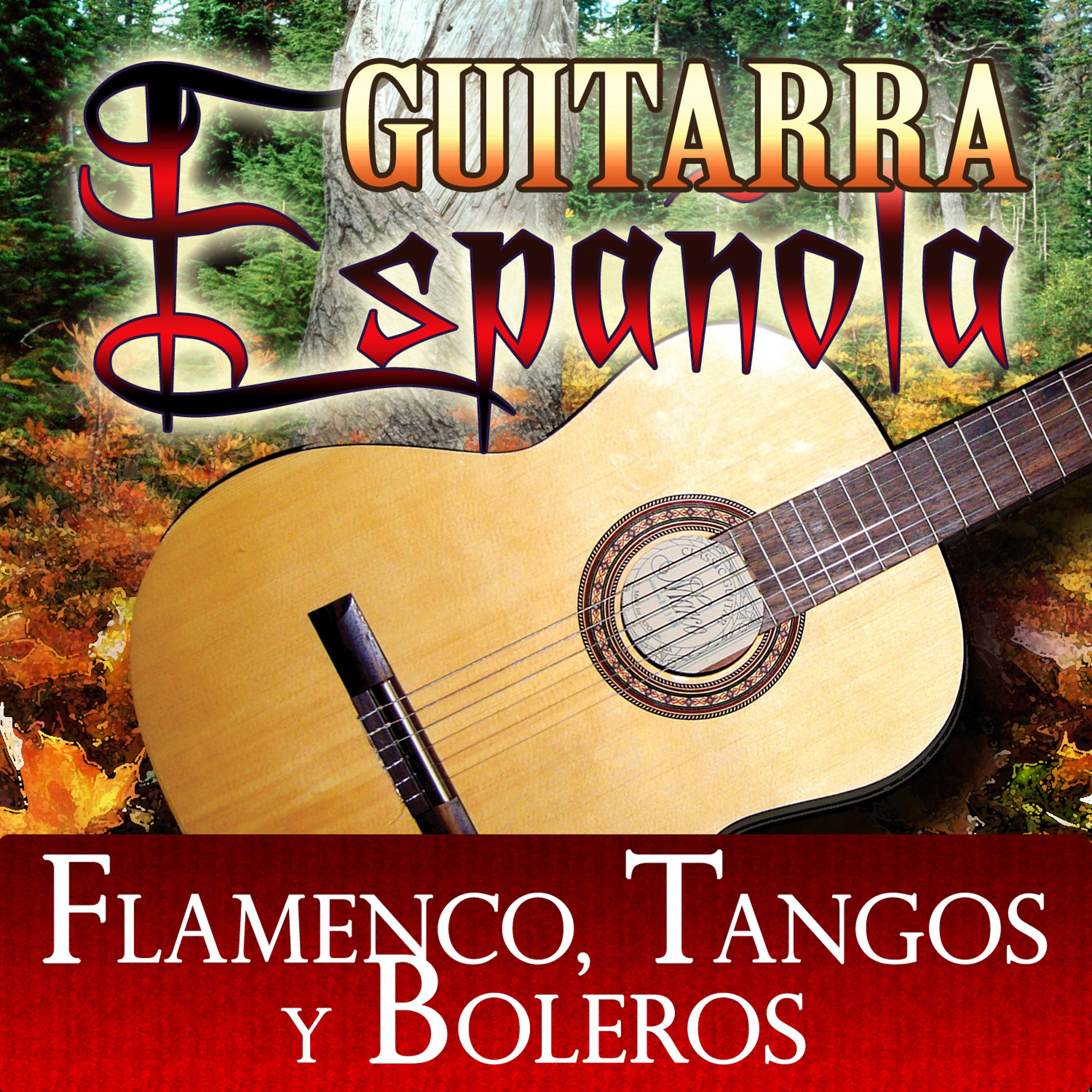 Постер альбома Guitarra Española Flamenco, Tangos y Boleros